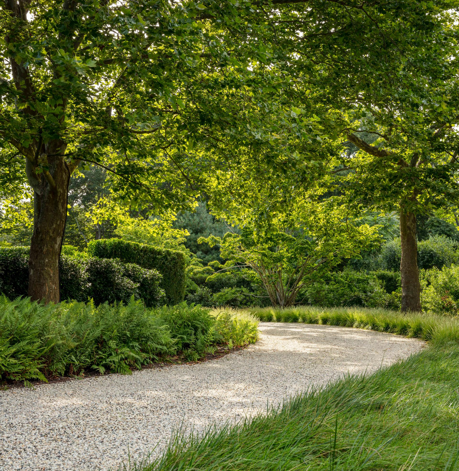 Cove Hollow Farm - image 4
