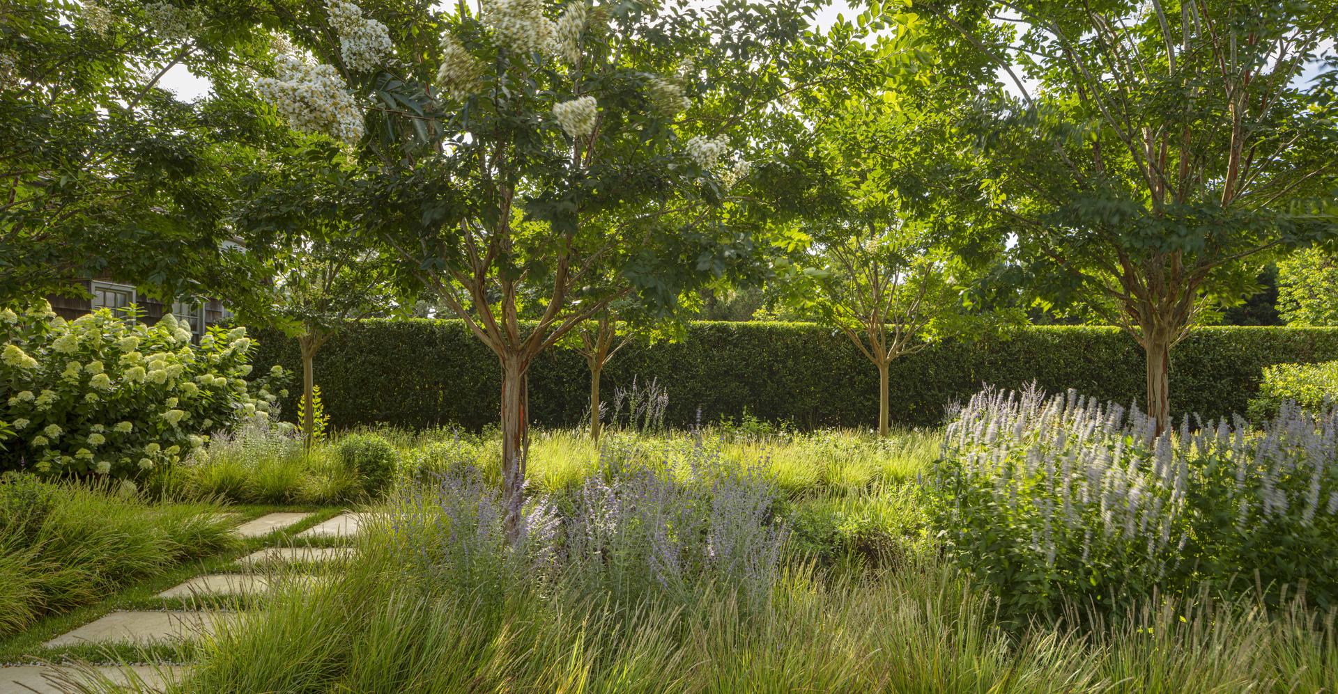 Cove Hollow Farm - image 7