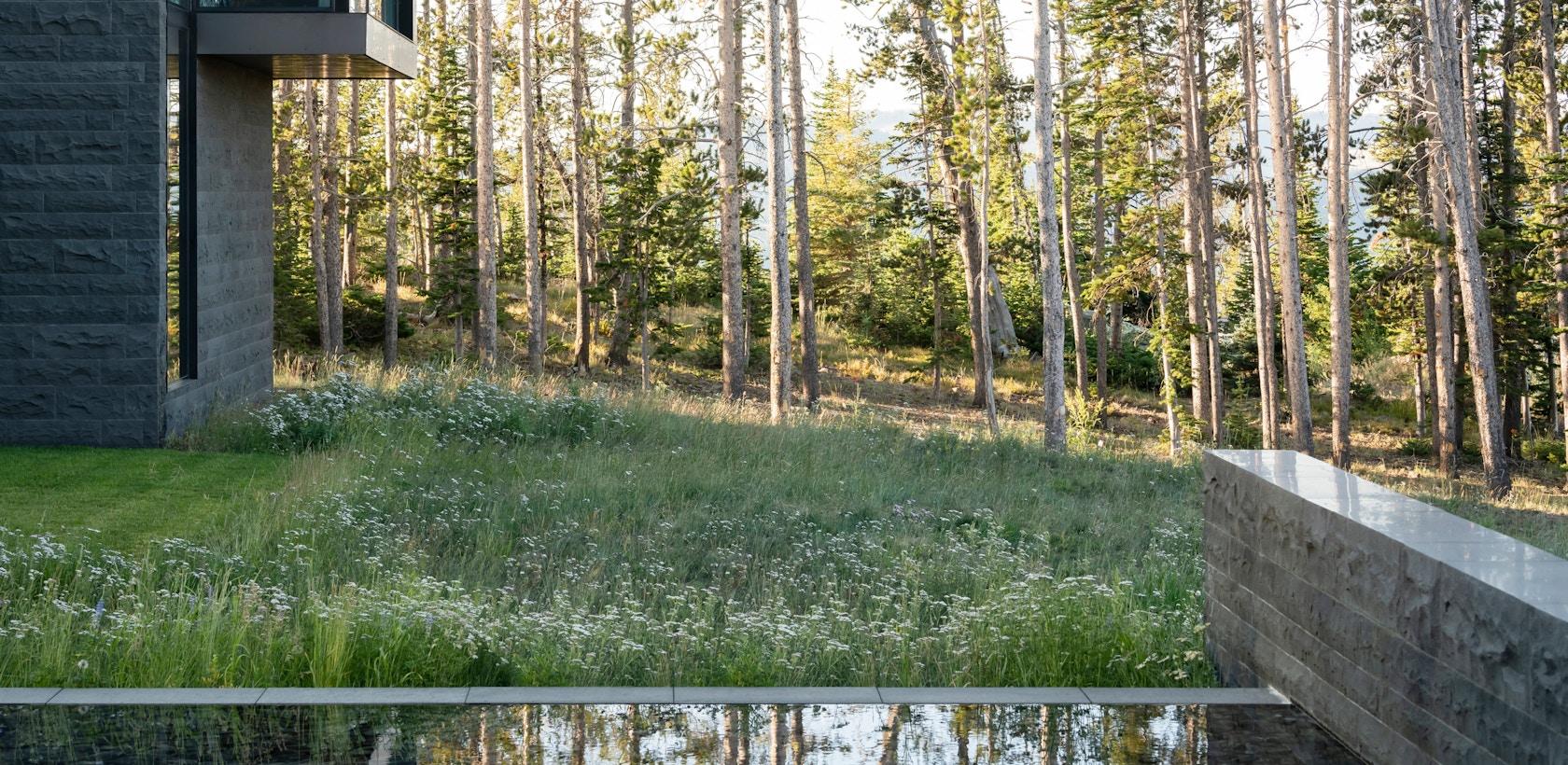 Andesite Ridge Retreat - image 8