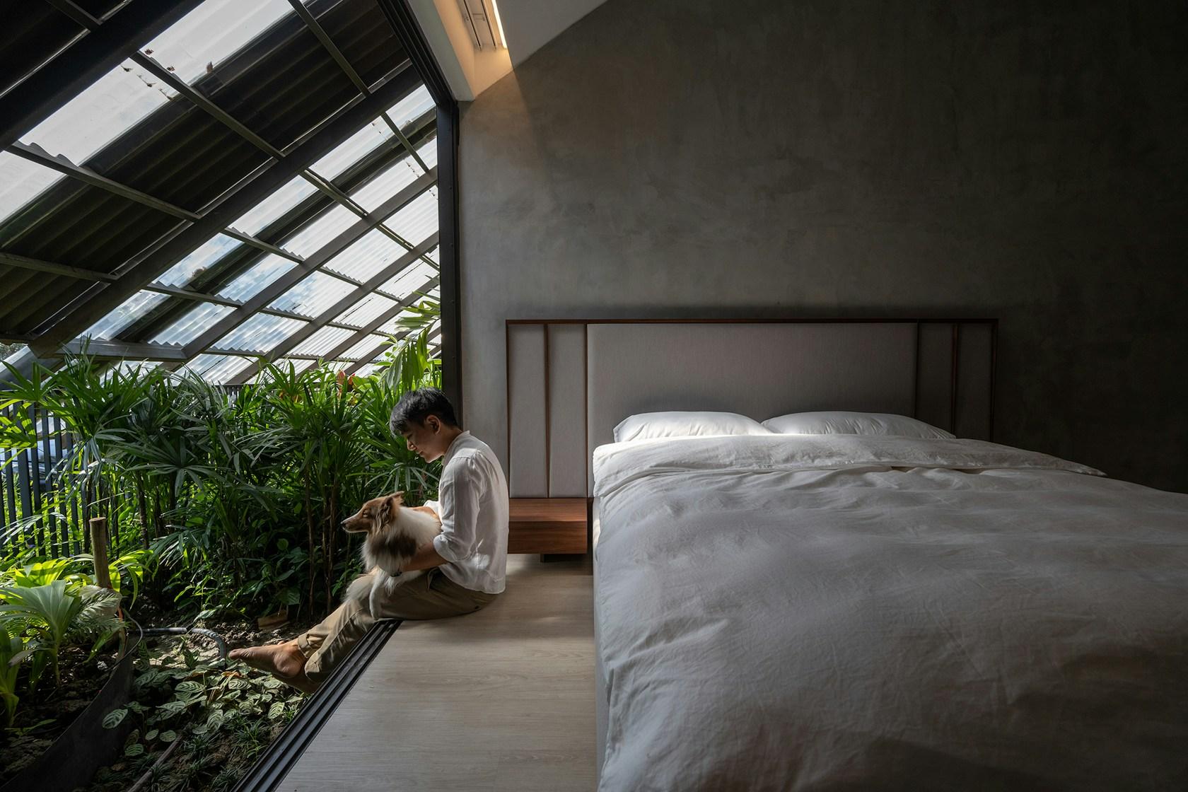 Dog / Human - image 25