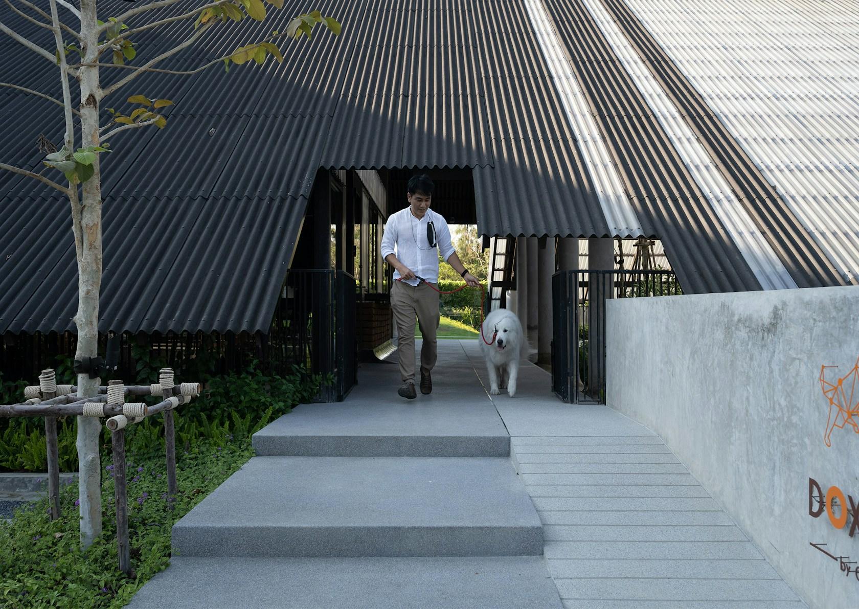 Dog / Human - image 29