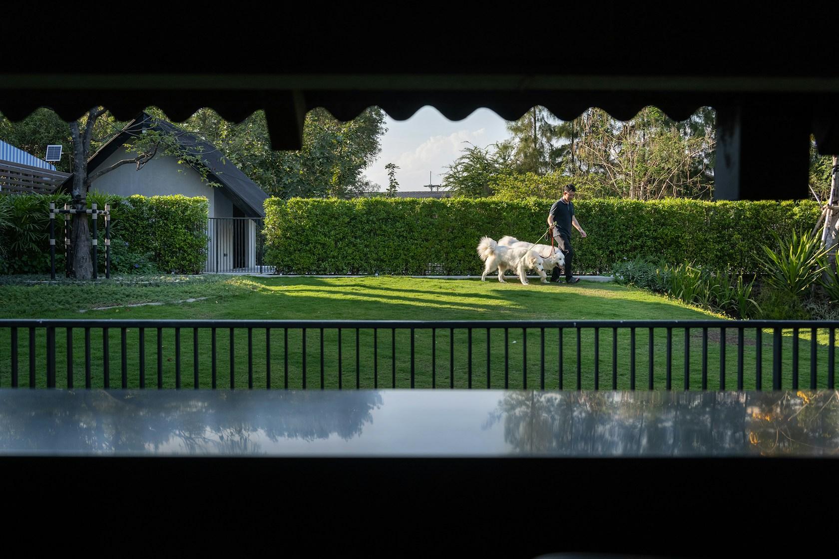 Dog / Human - image 32