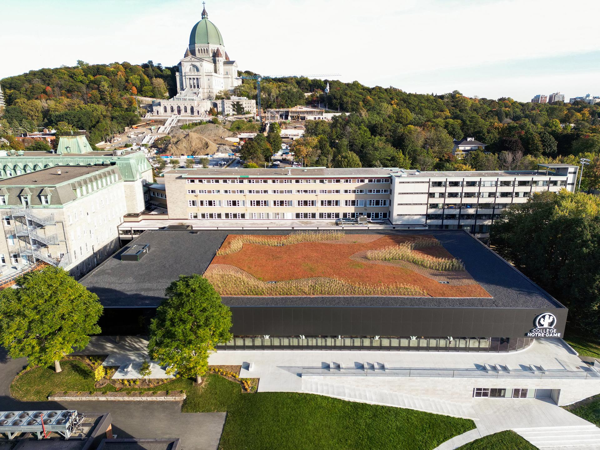 Notre-Dame College Gymnasium - image 4