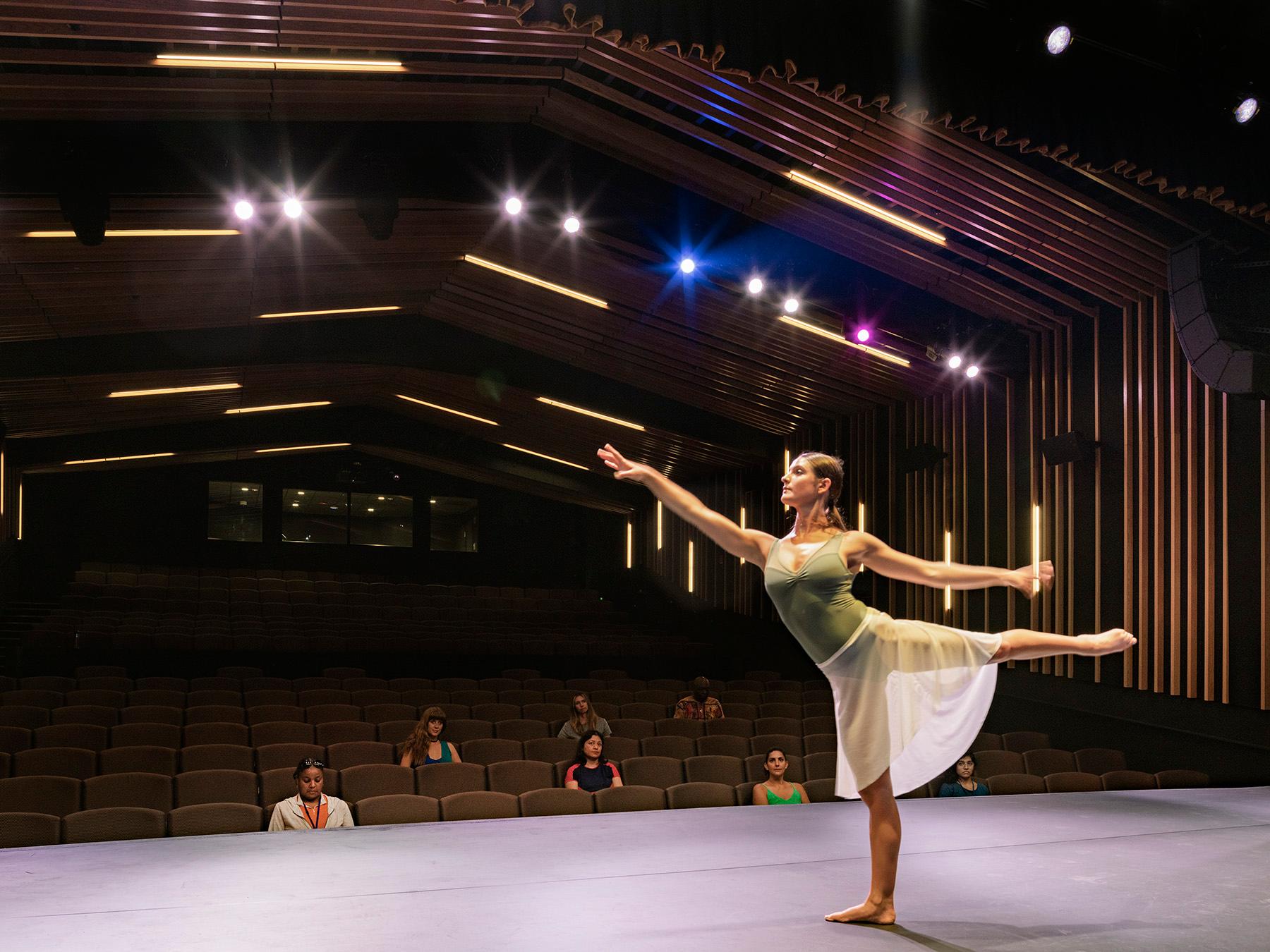 Glorya Kaufman Performing Arts Center - image 8
