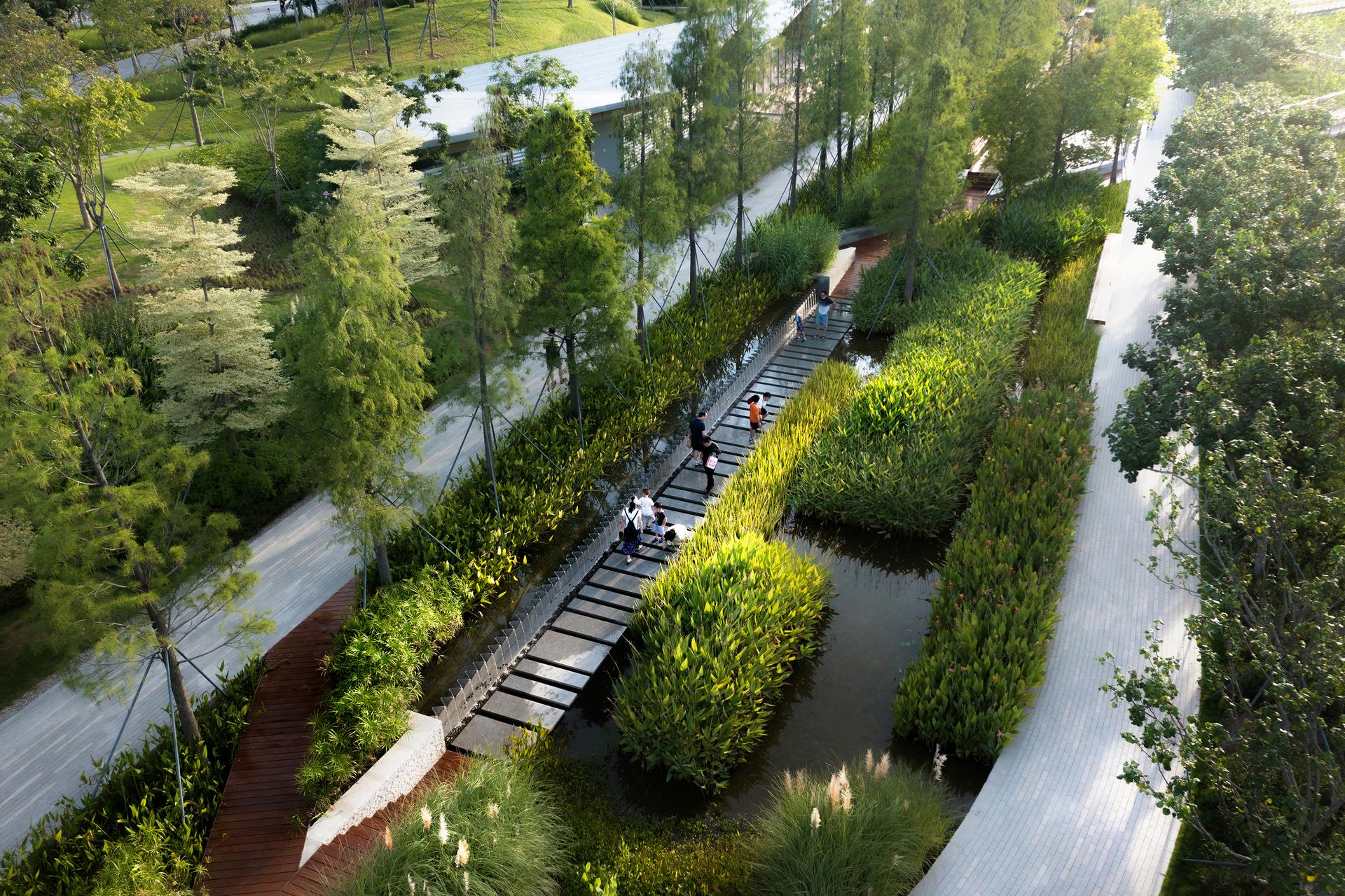 Qianhai's Guiwan Park - image 11