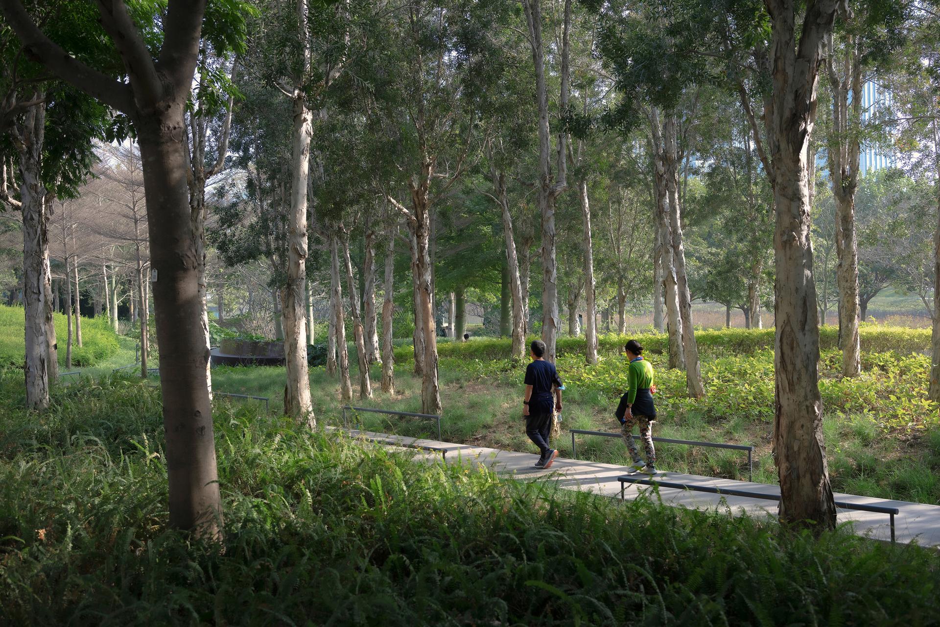 Qianhai's Guiwan Park - image 15