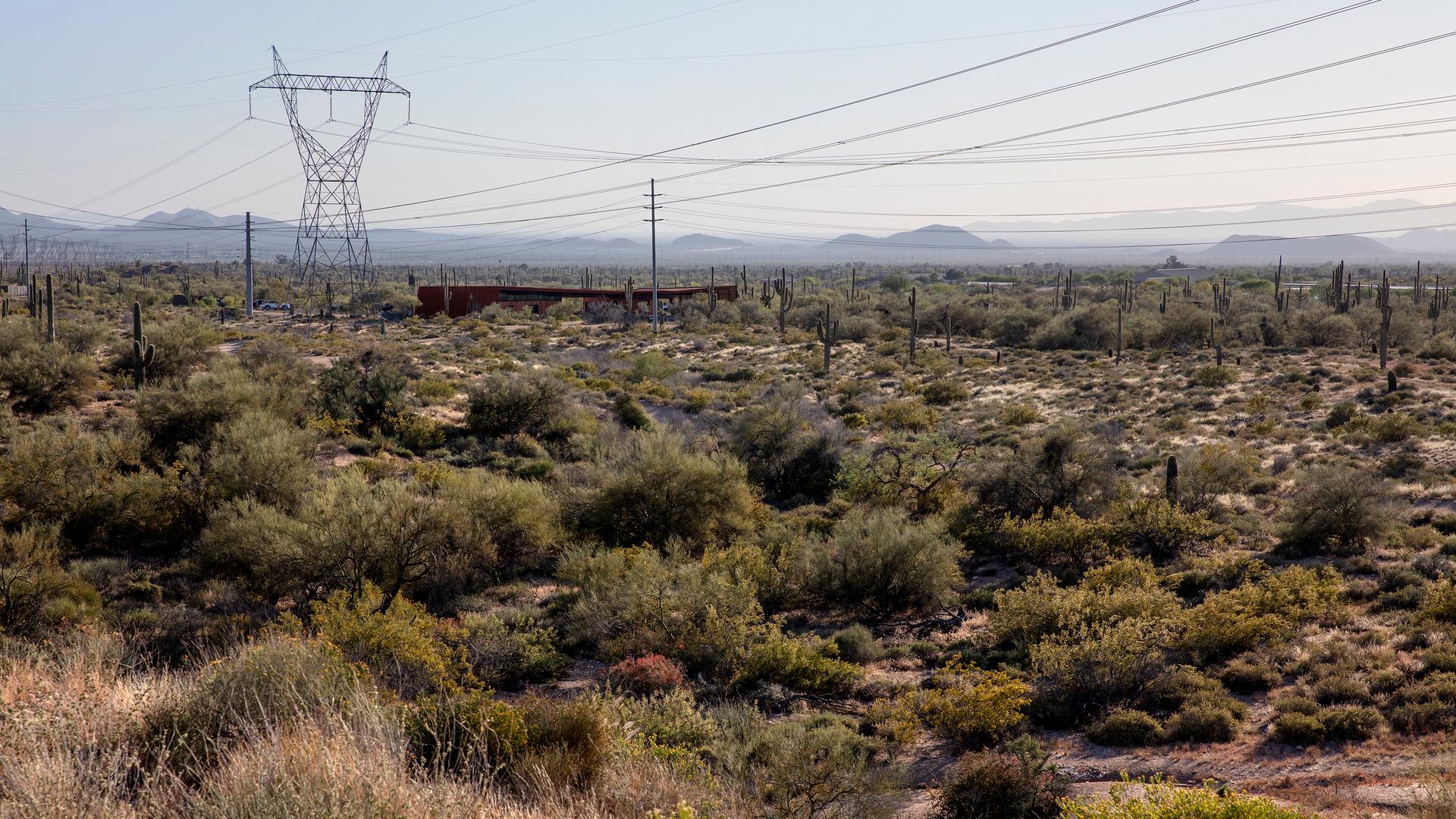 Pima Dynamite Trailhead - image 2