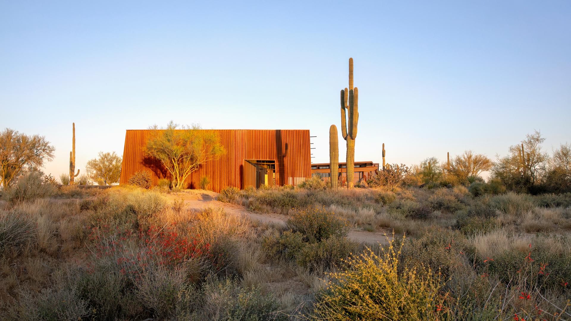 Pima Dynamite Trailhead - image 3