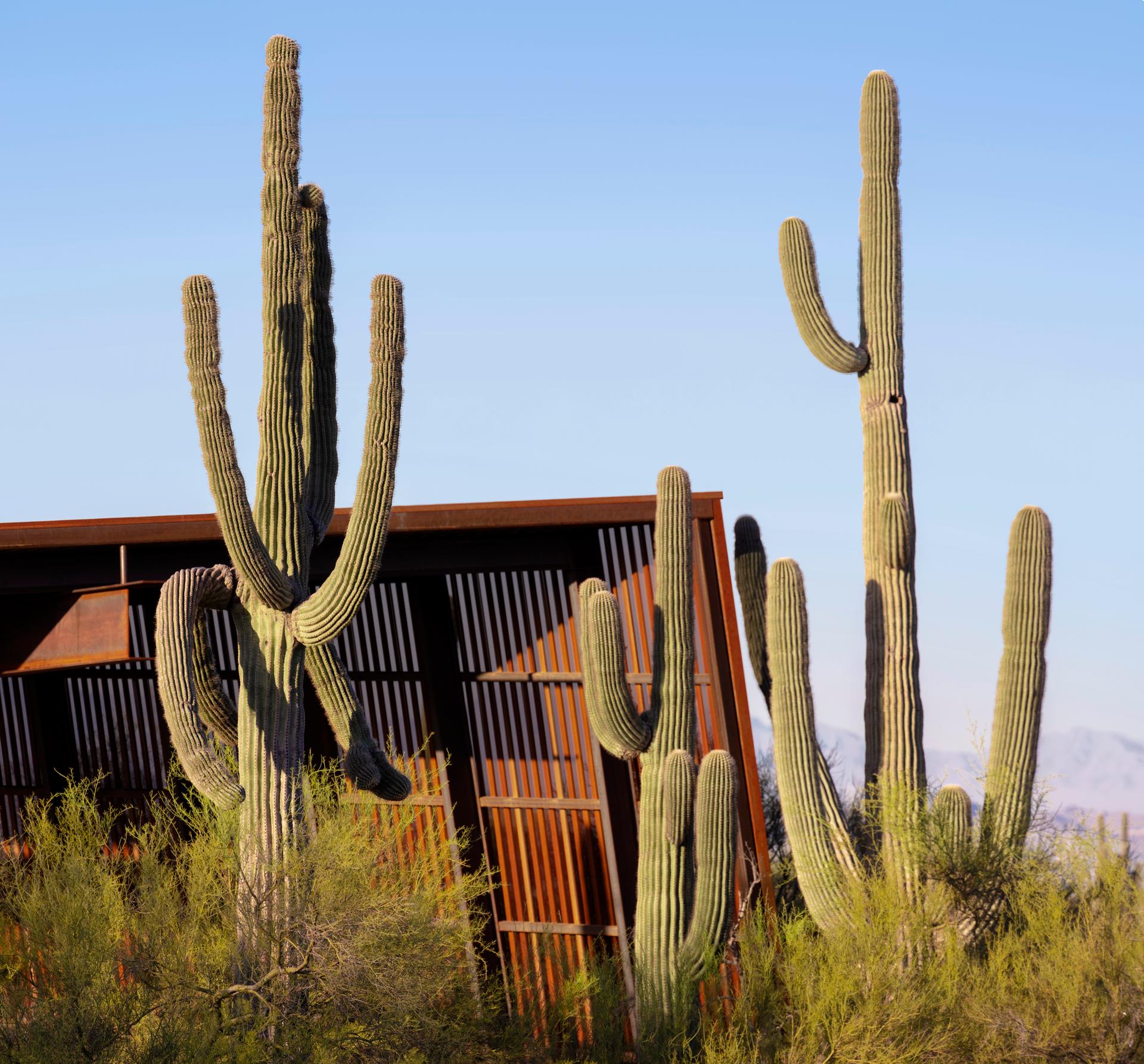 Pima Dynamite Trailhead - image 4