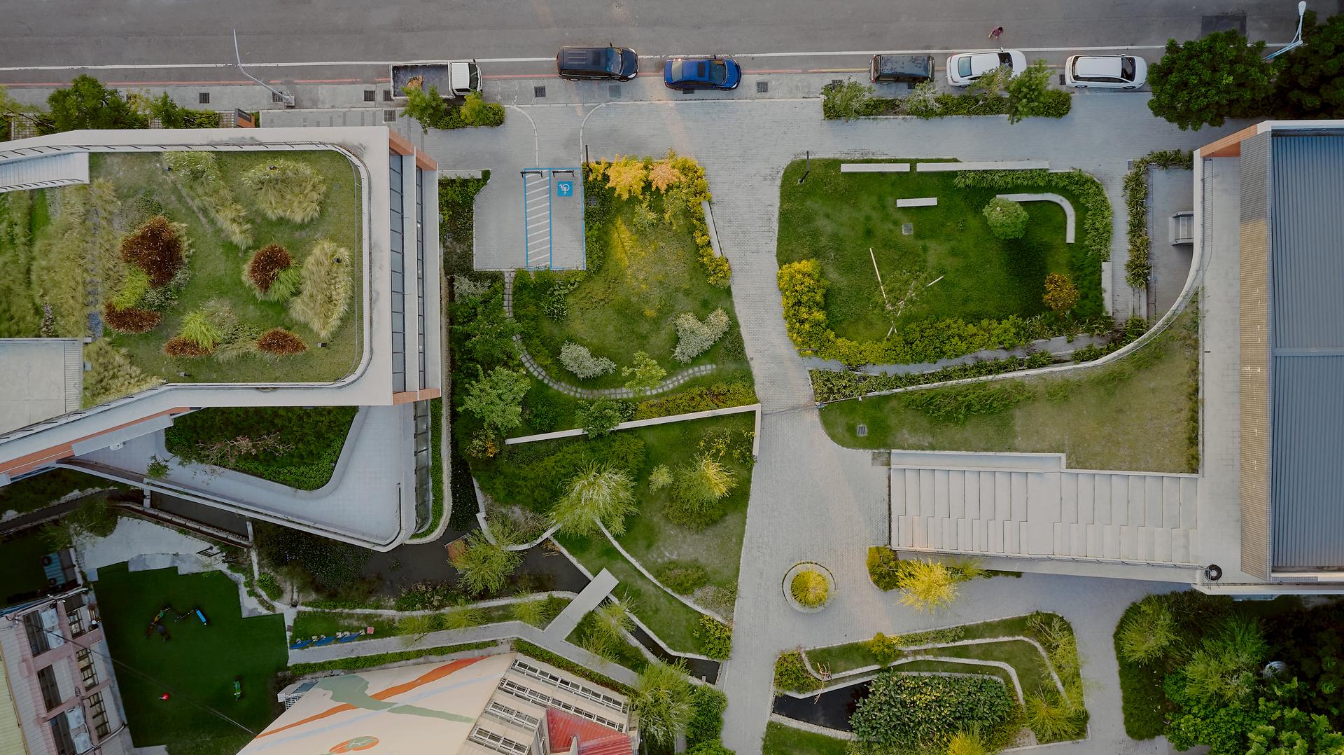Shangfeng Public Library and School Gymnasium - image 4