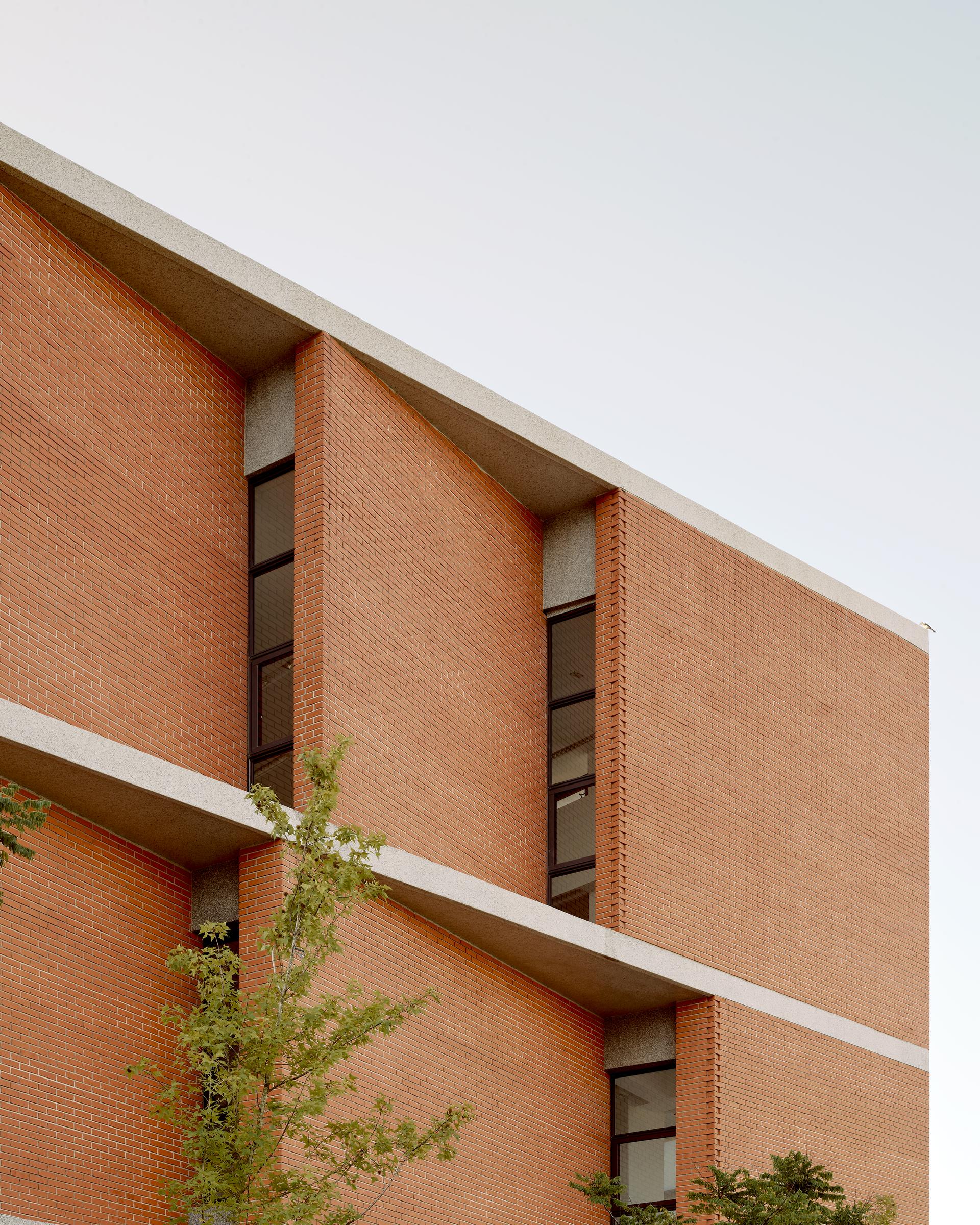 Shangfeng Public Library and School Gymnasium - image 9