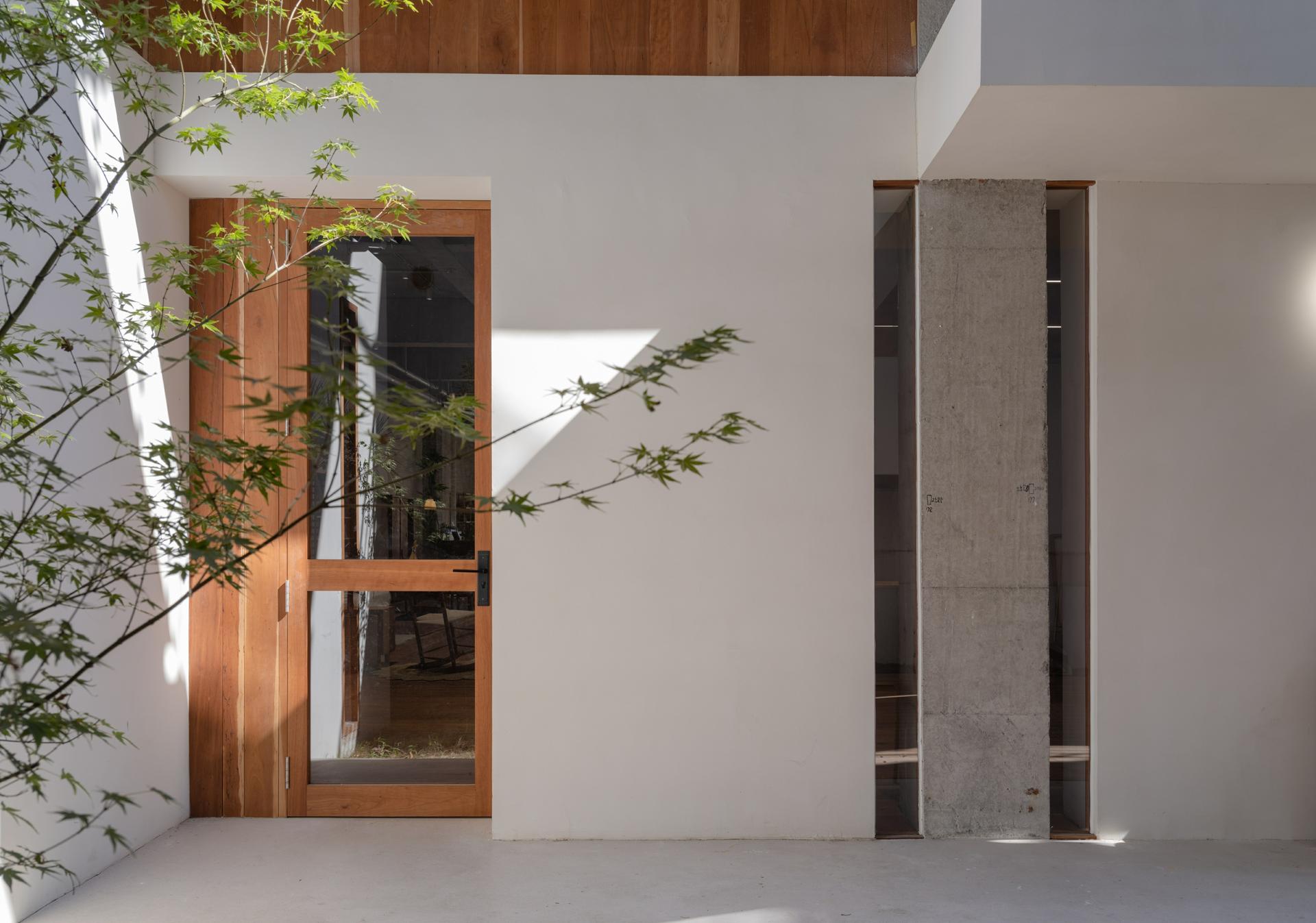 Free space with wood - image 8