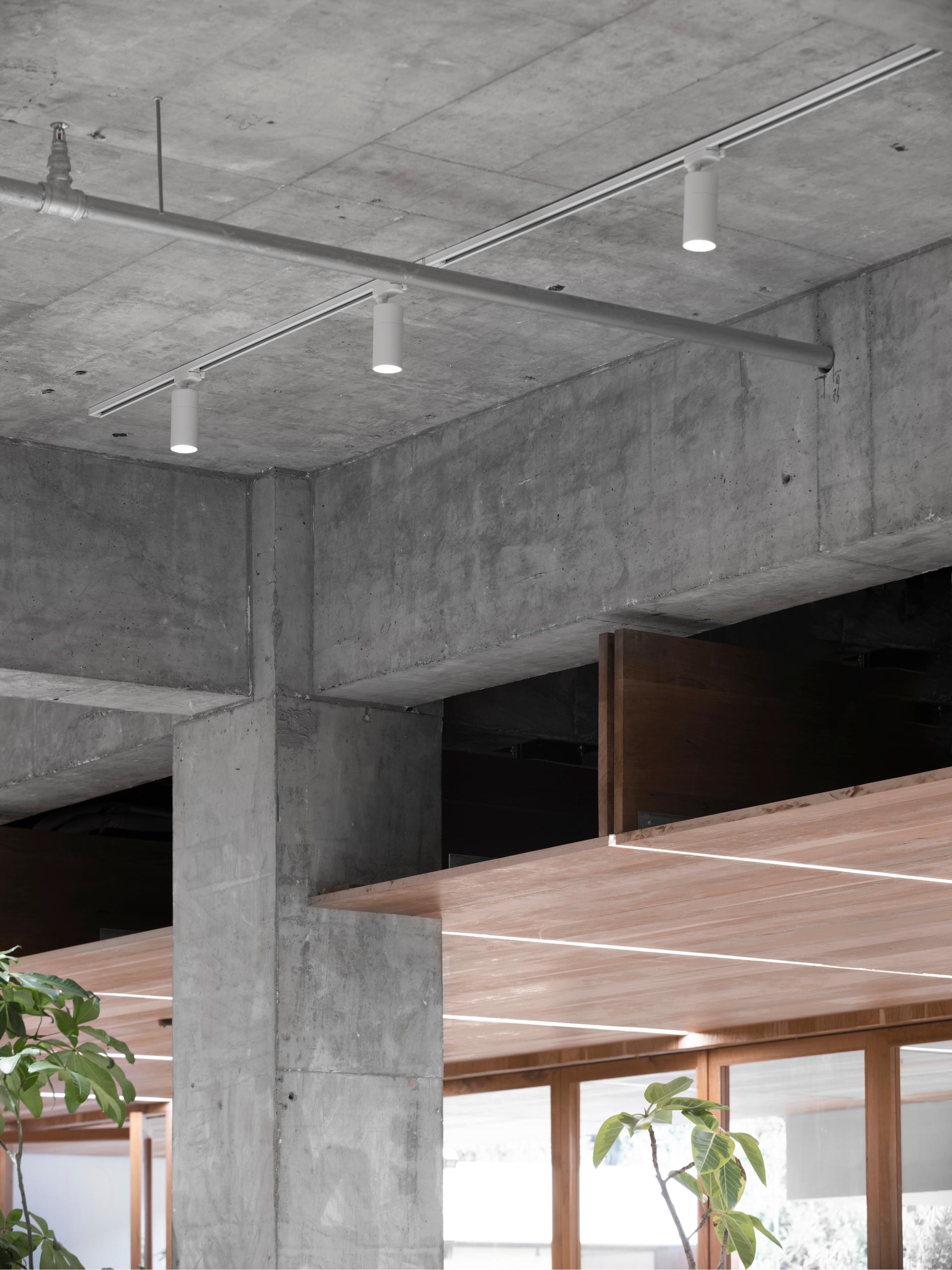 Free space with wood - image 10