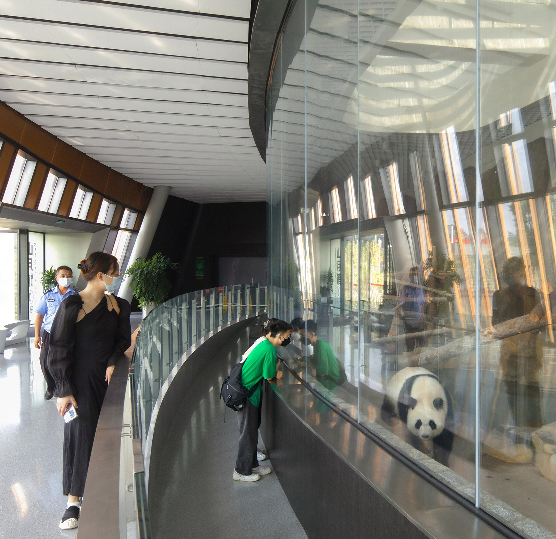 The Panda Pavilions - image 10
