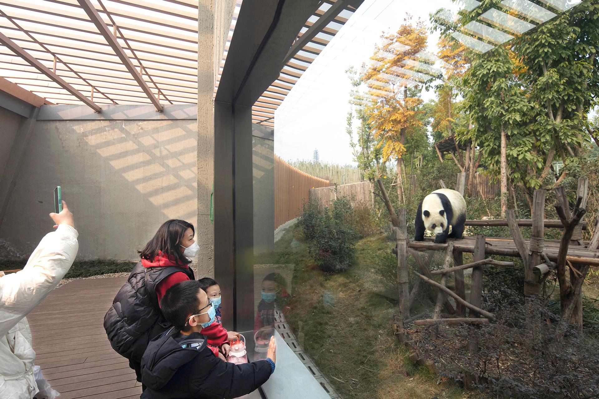 The Panda Pavilions - image 11