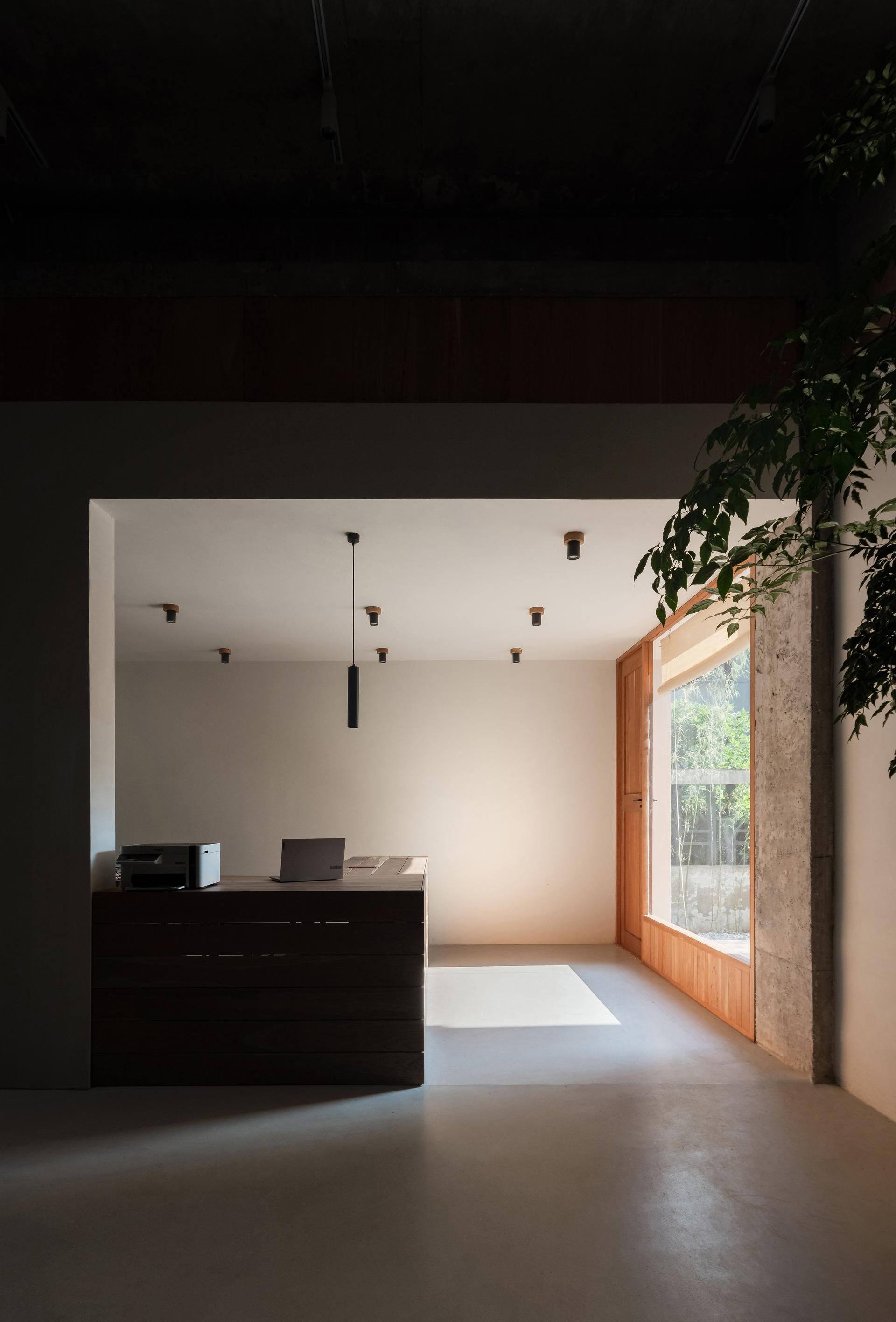 Free space with wood - image 33