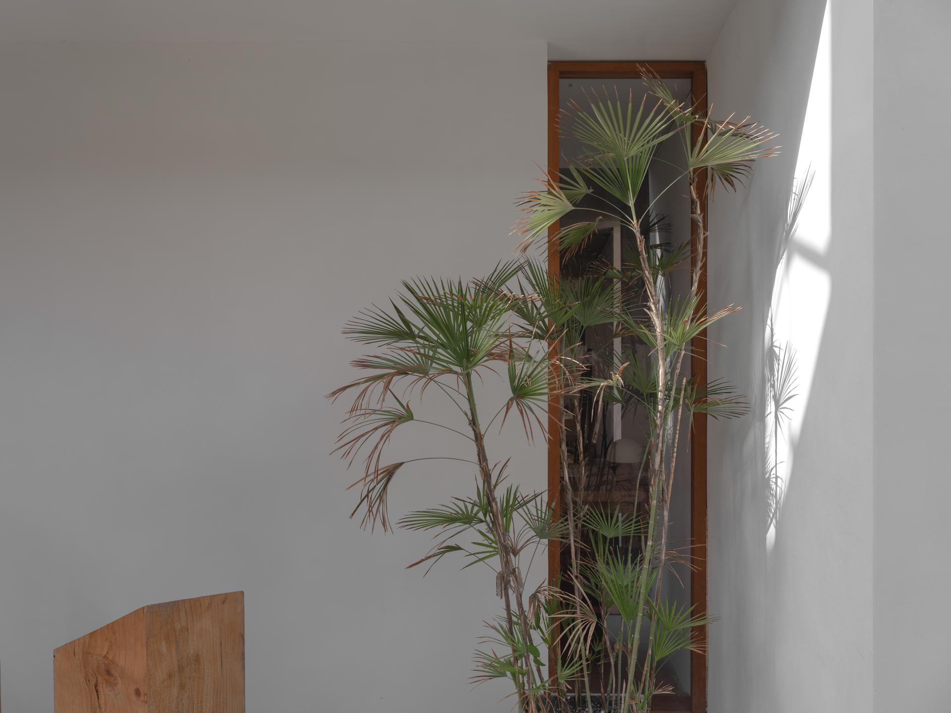 Free space with wood - image 51