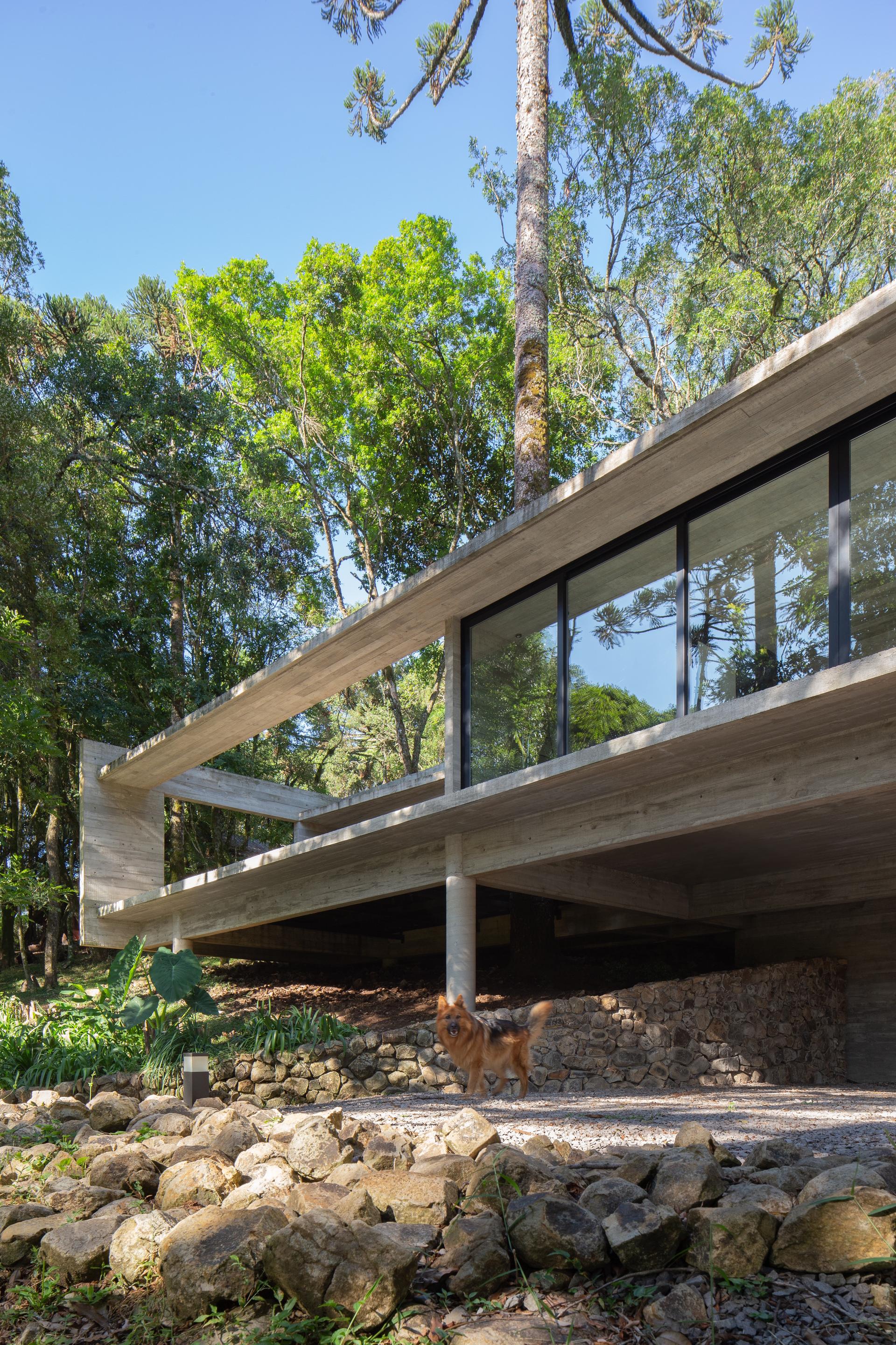 Fortunata House - image 8