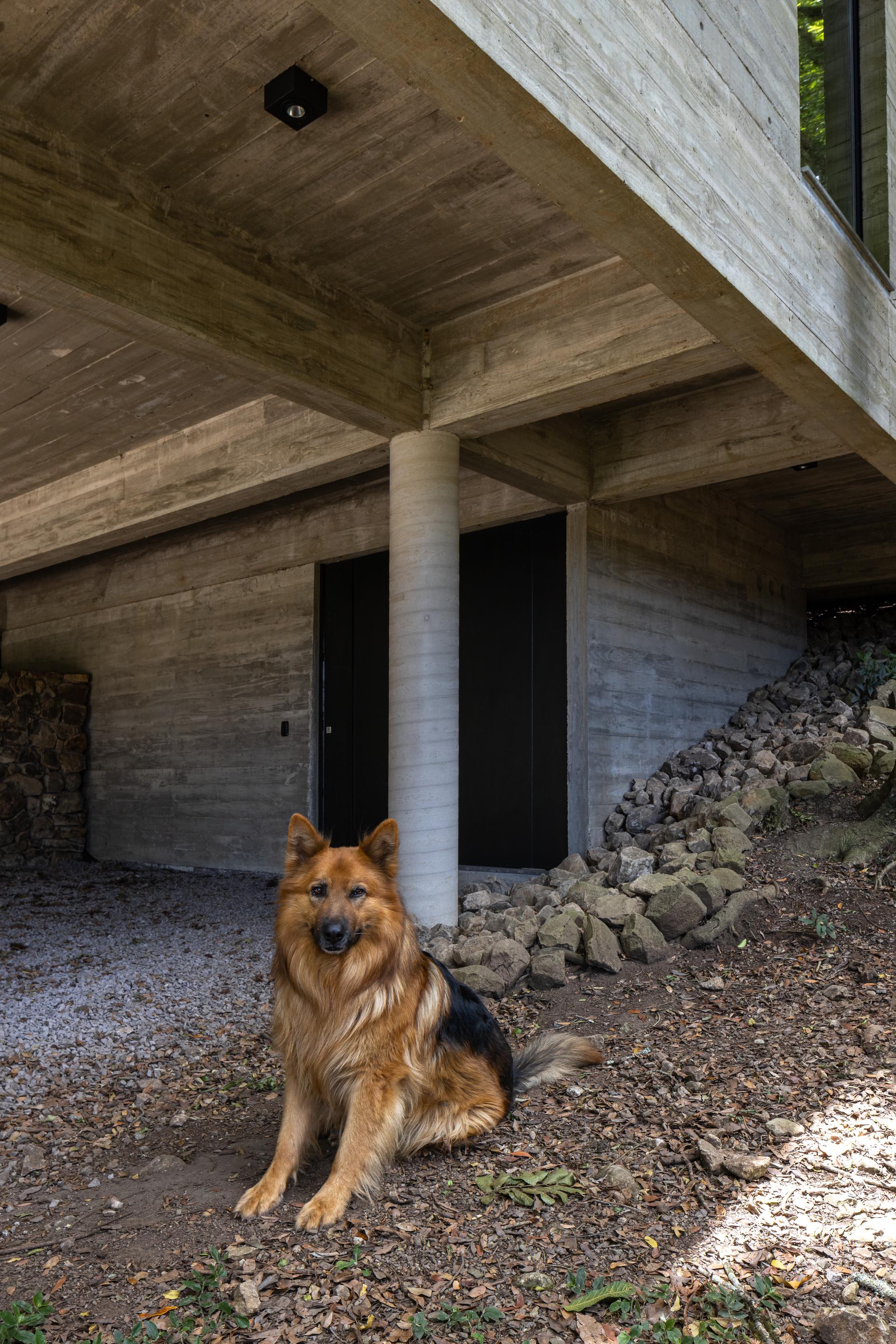 Fortunata House - image 9