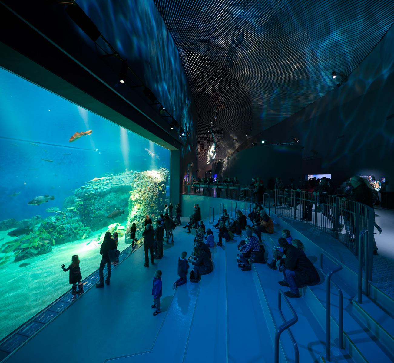 Blue Planet - image 7