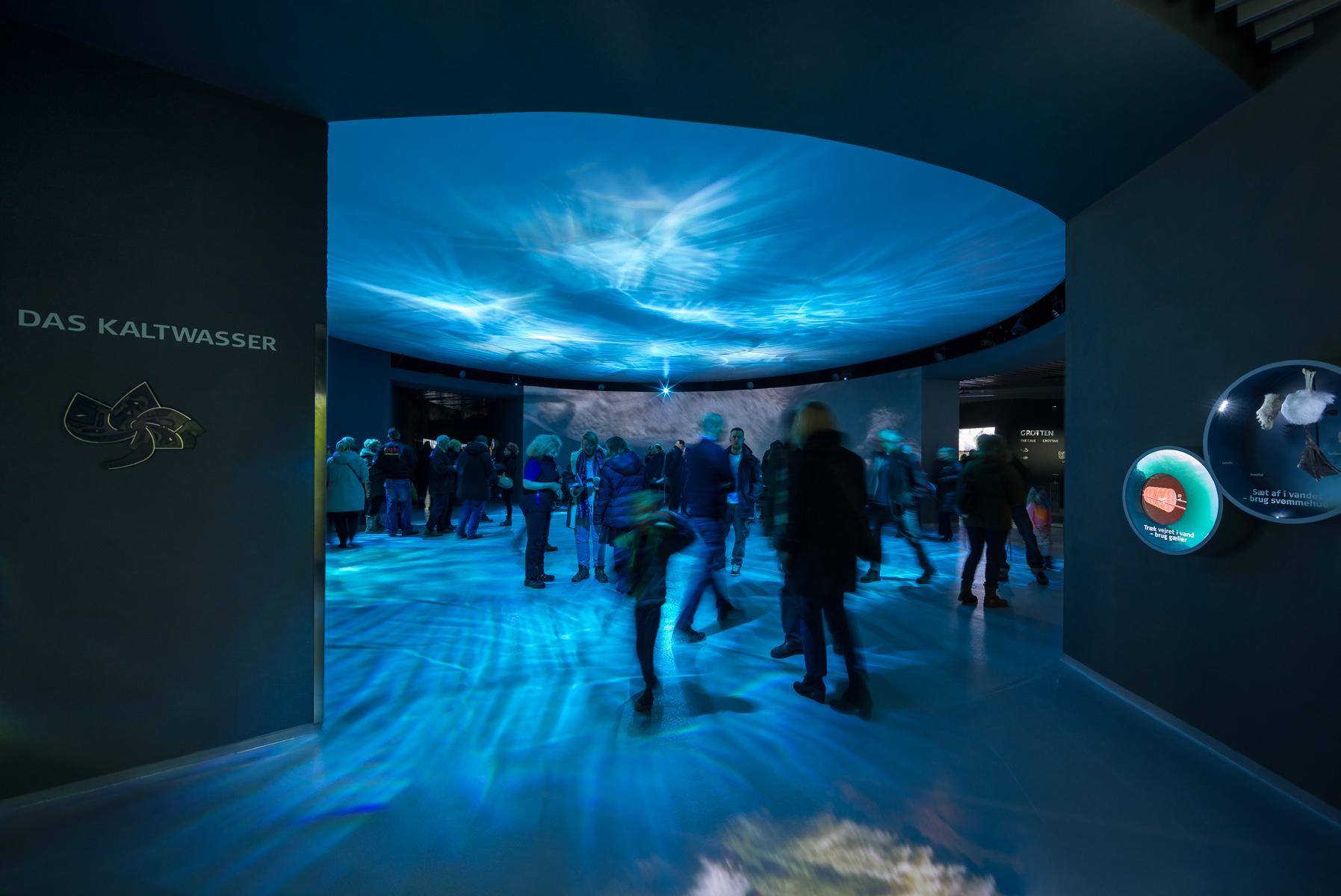 Blue Planet - image 5