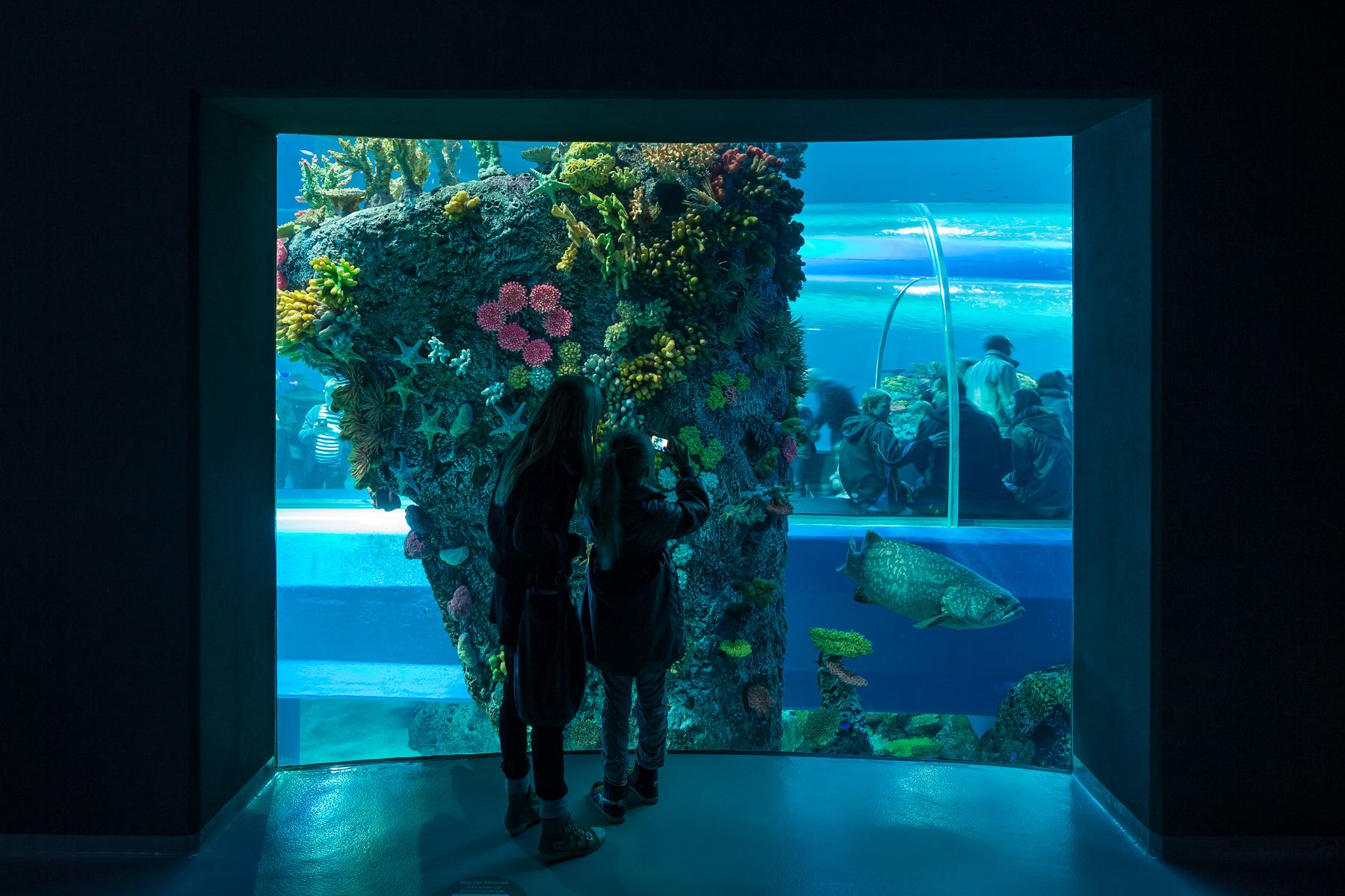 Blue Planet - image 8