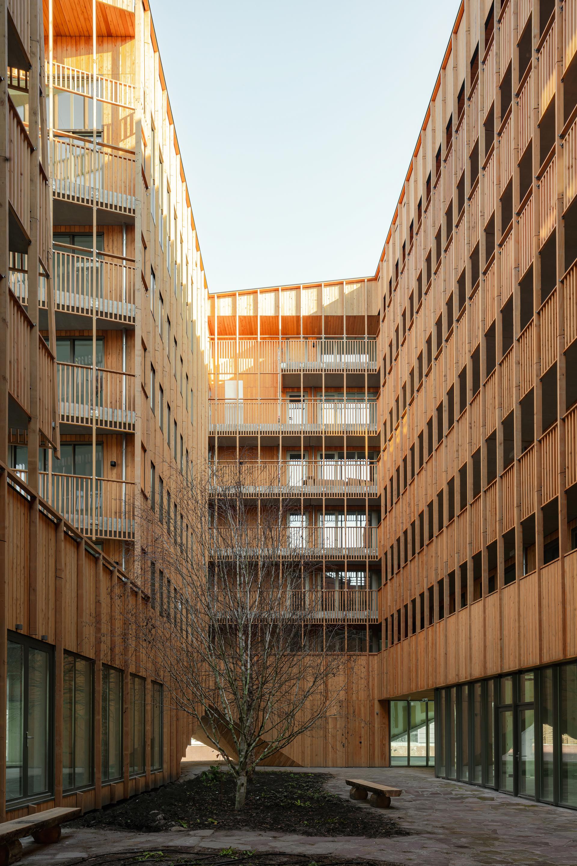Jonas, IJburg - image 12