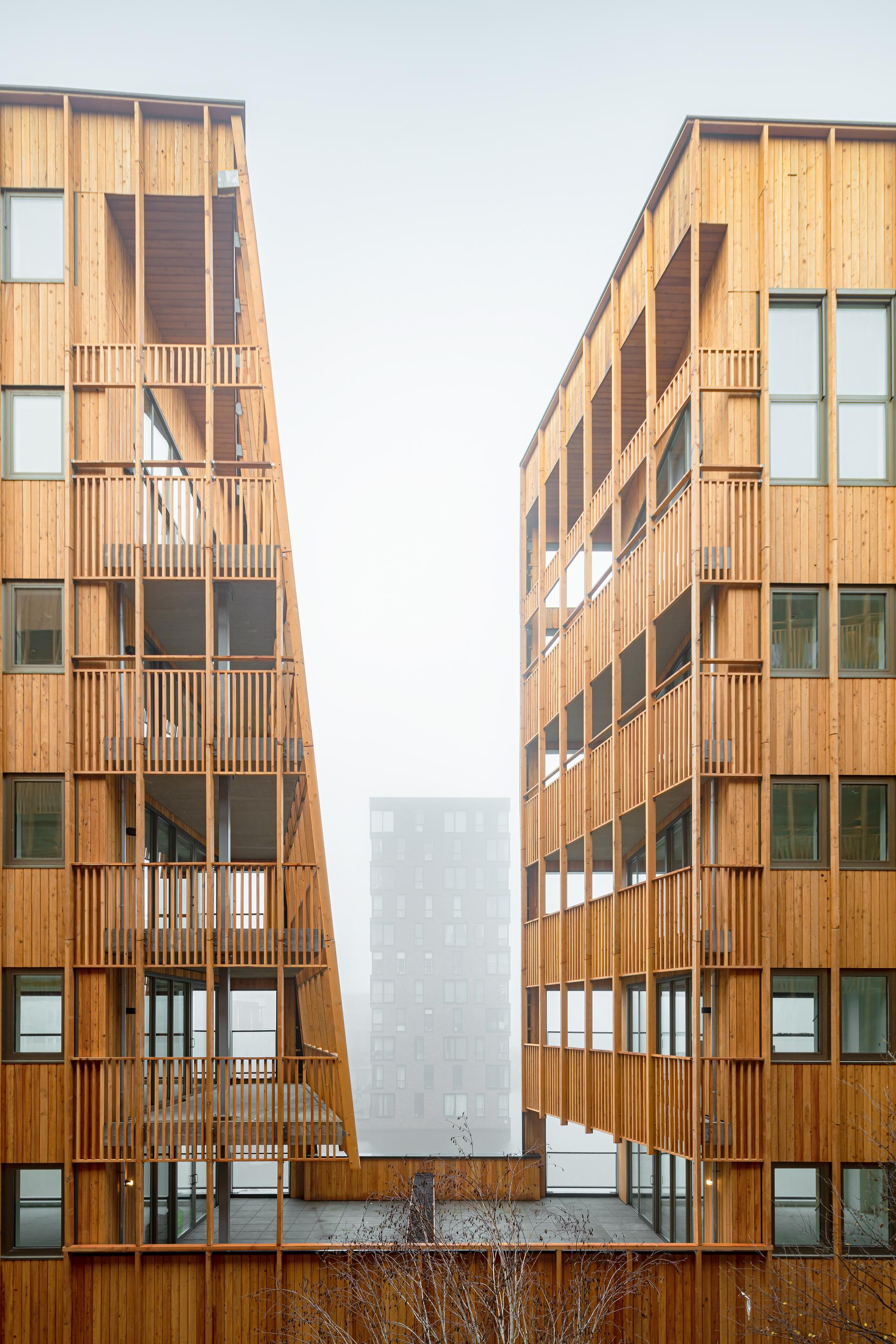 Jonas, IJburg - image 13