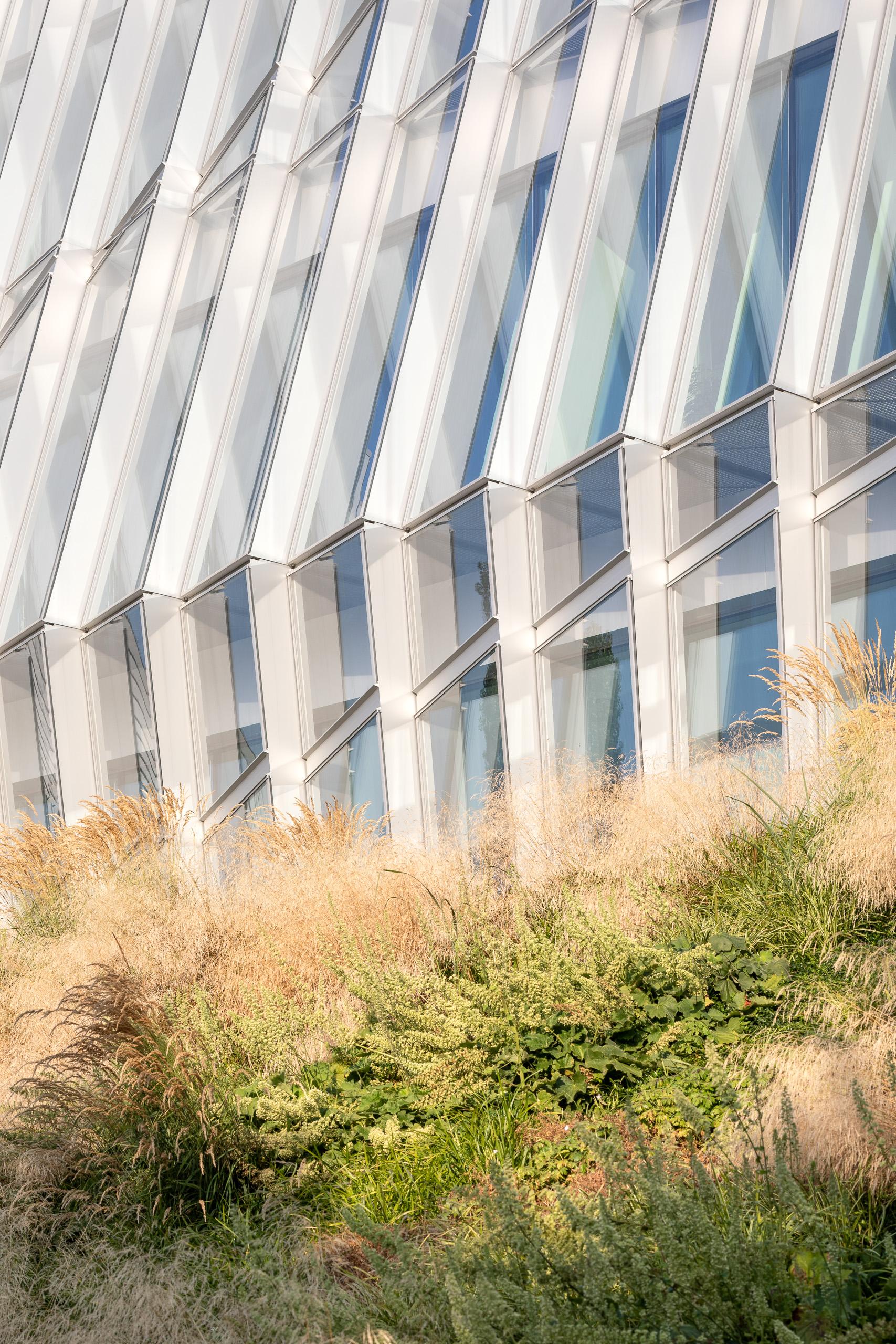 Olympic House - image 7