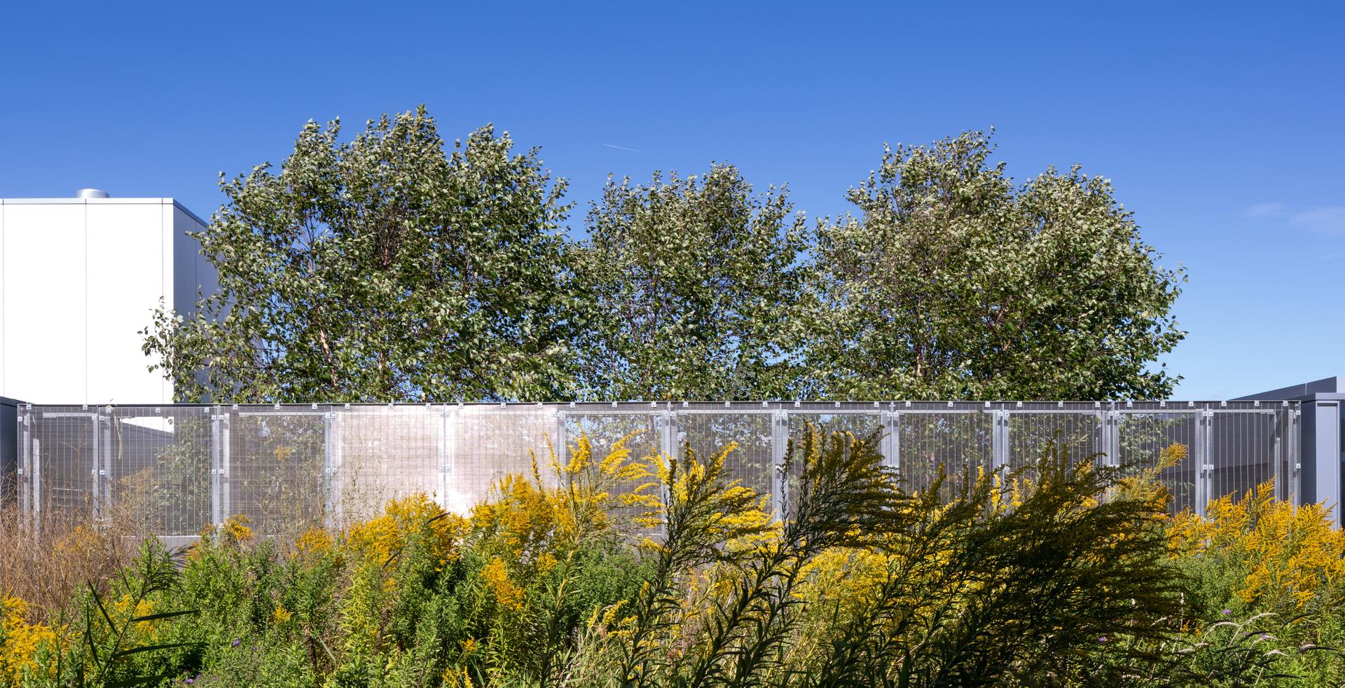 Guildwood GO Station - image 11