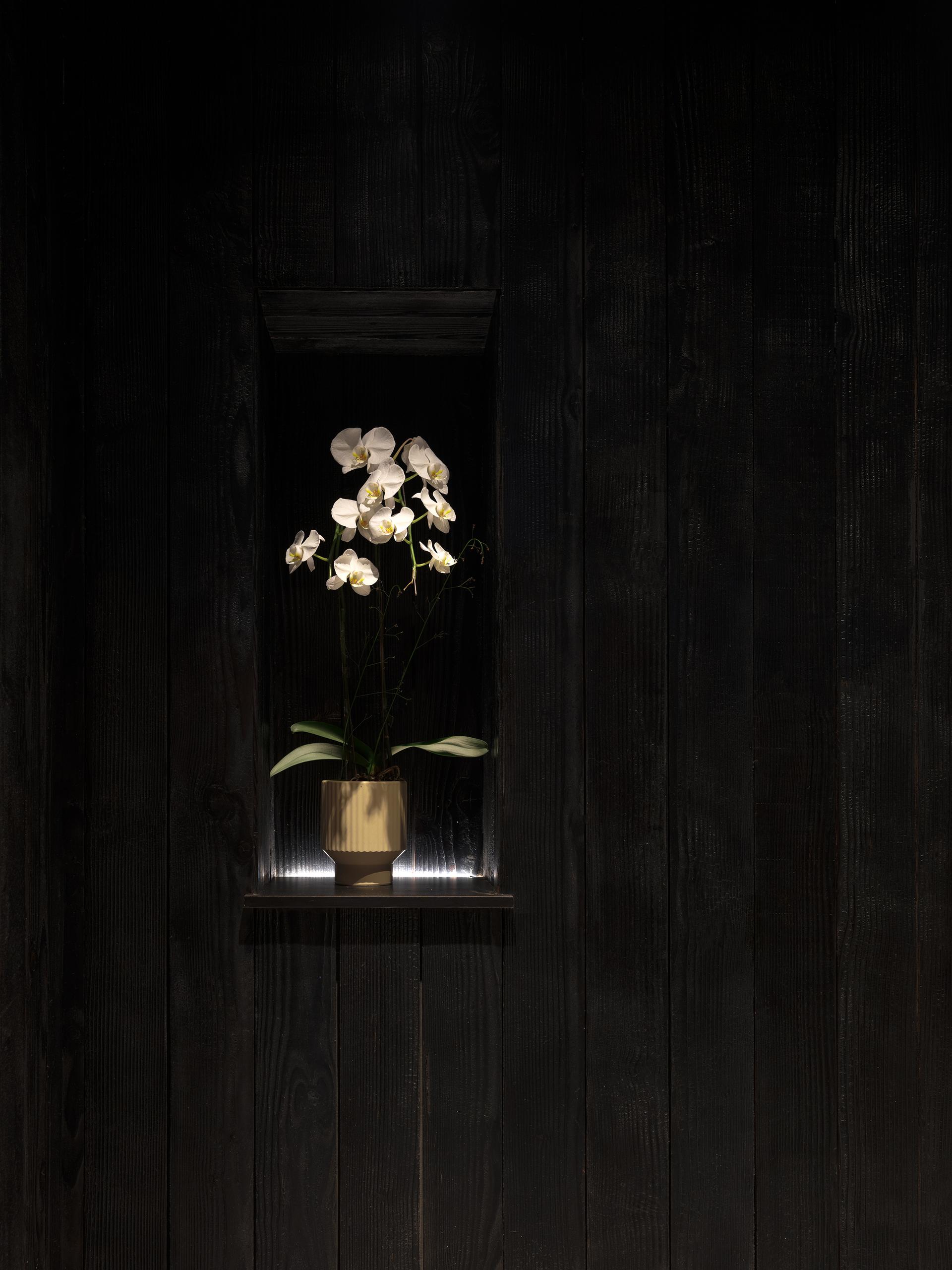 Omakase Xi - image 18