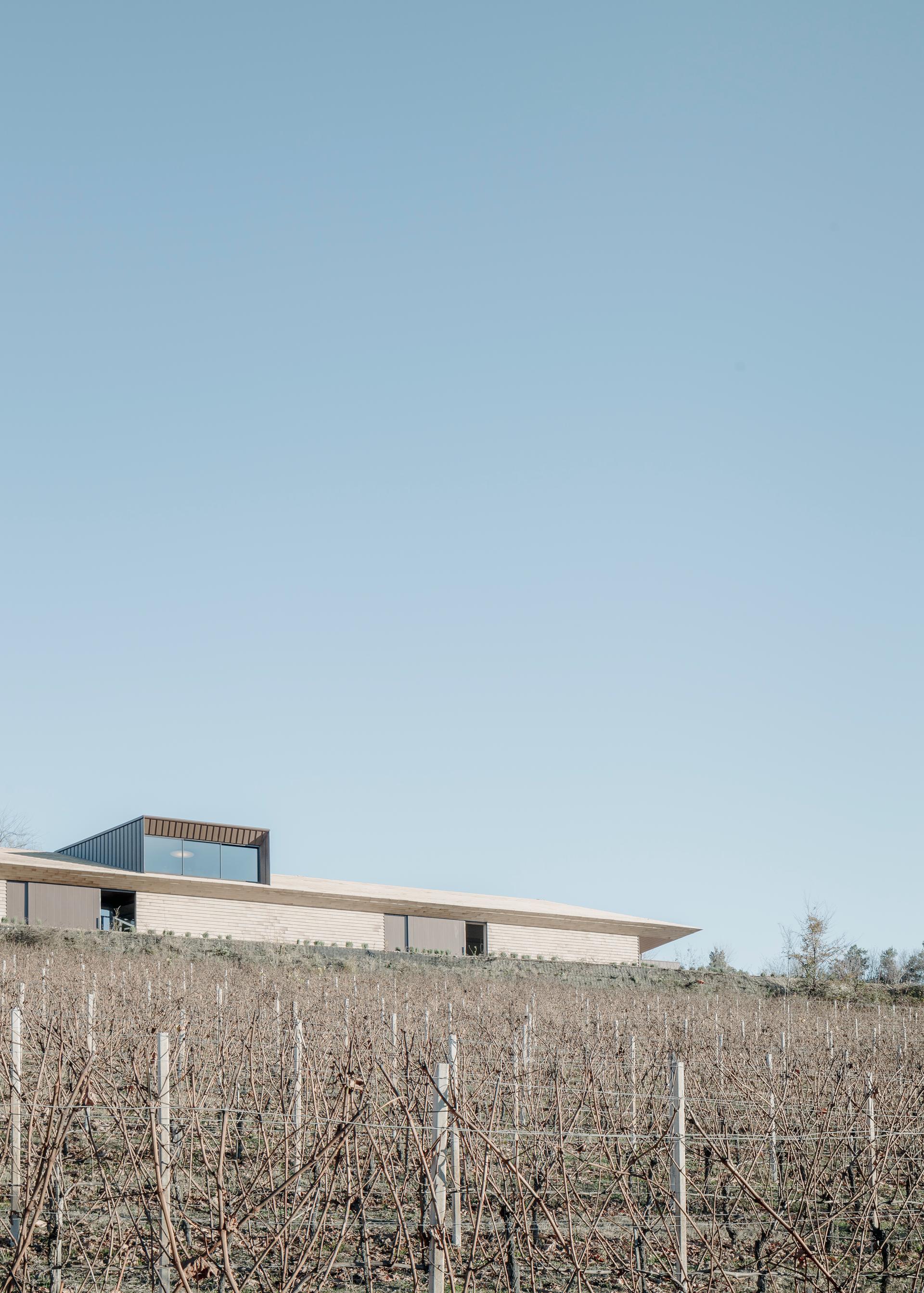 Cascina Elena Winery - image 4