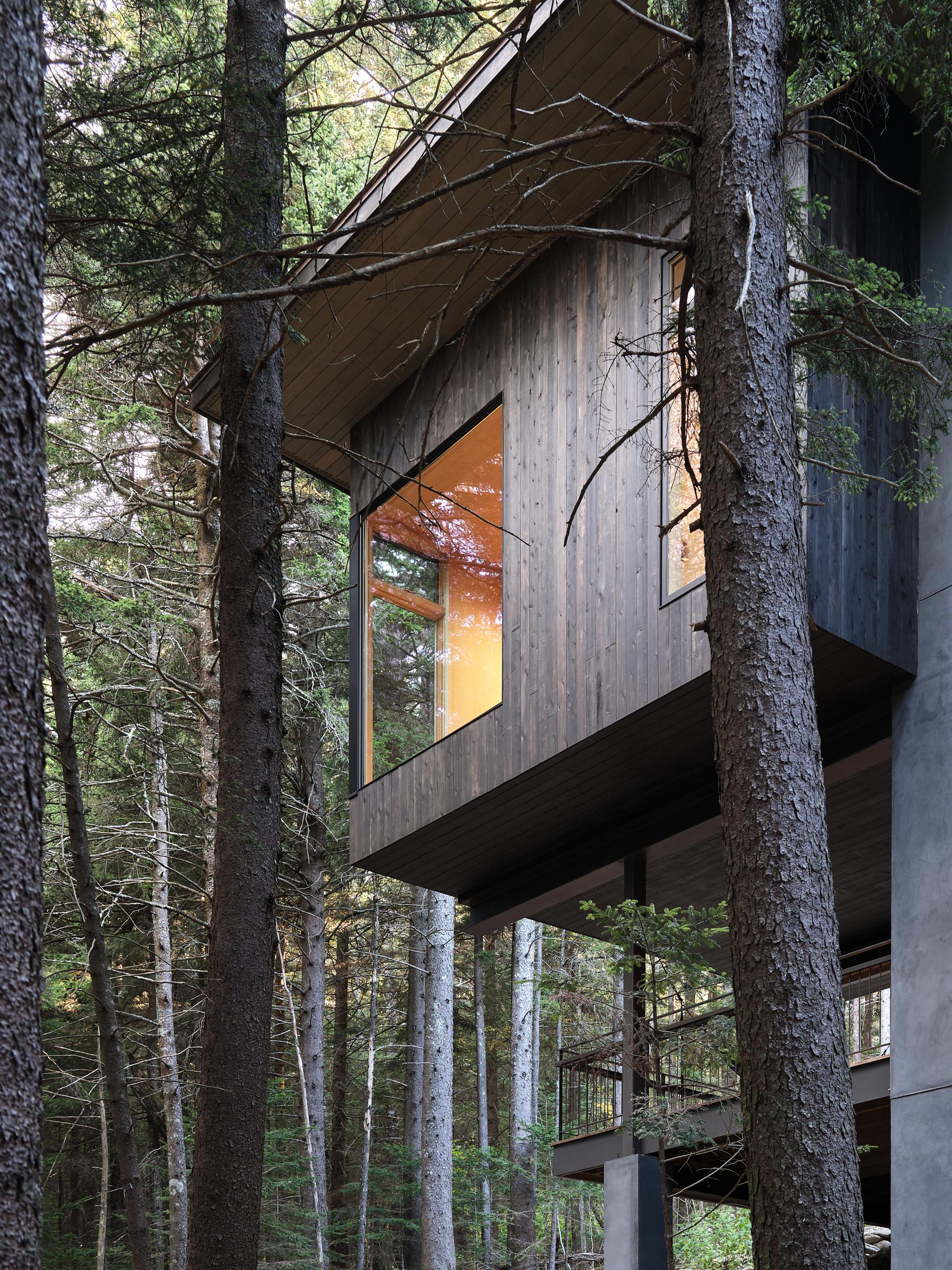 Spruce Ridge Cabin - image 4