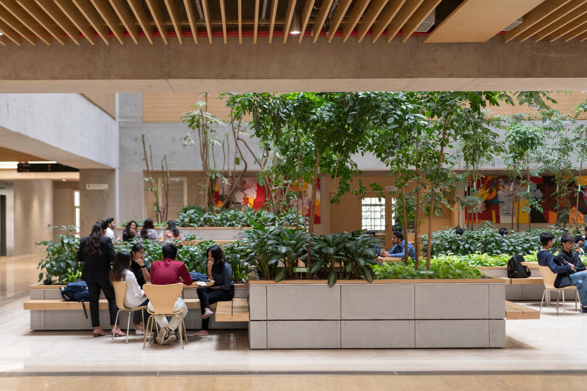 DY Patil University Centre of Excellence - image 3