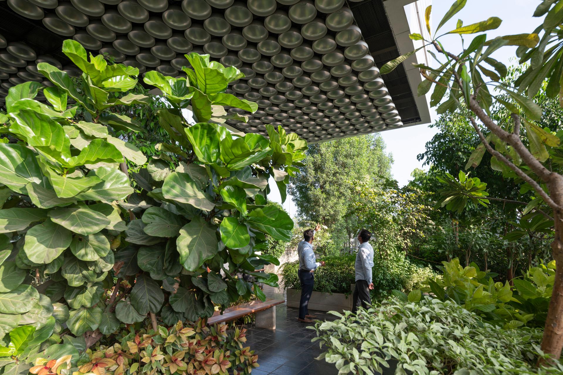 DY Patil University Centre of Excellence - image 5