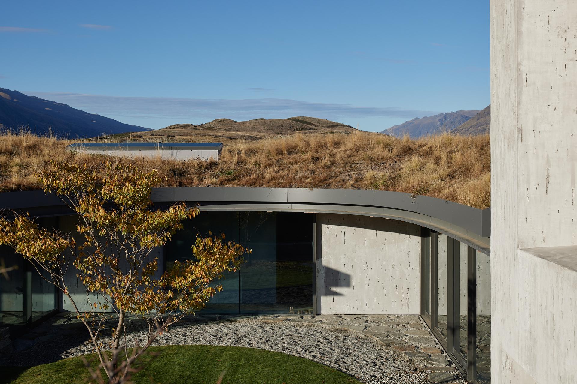 Matagouri - image 7