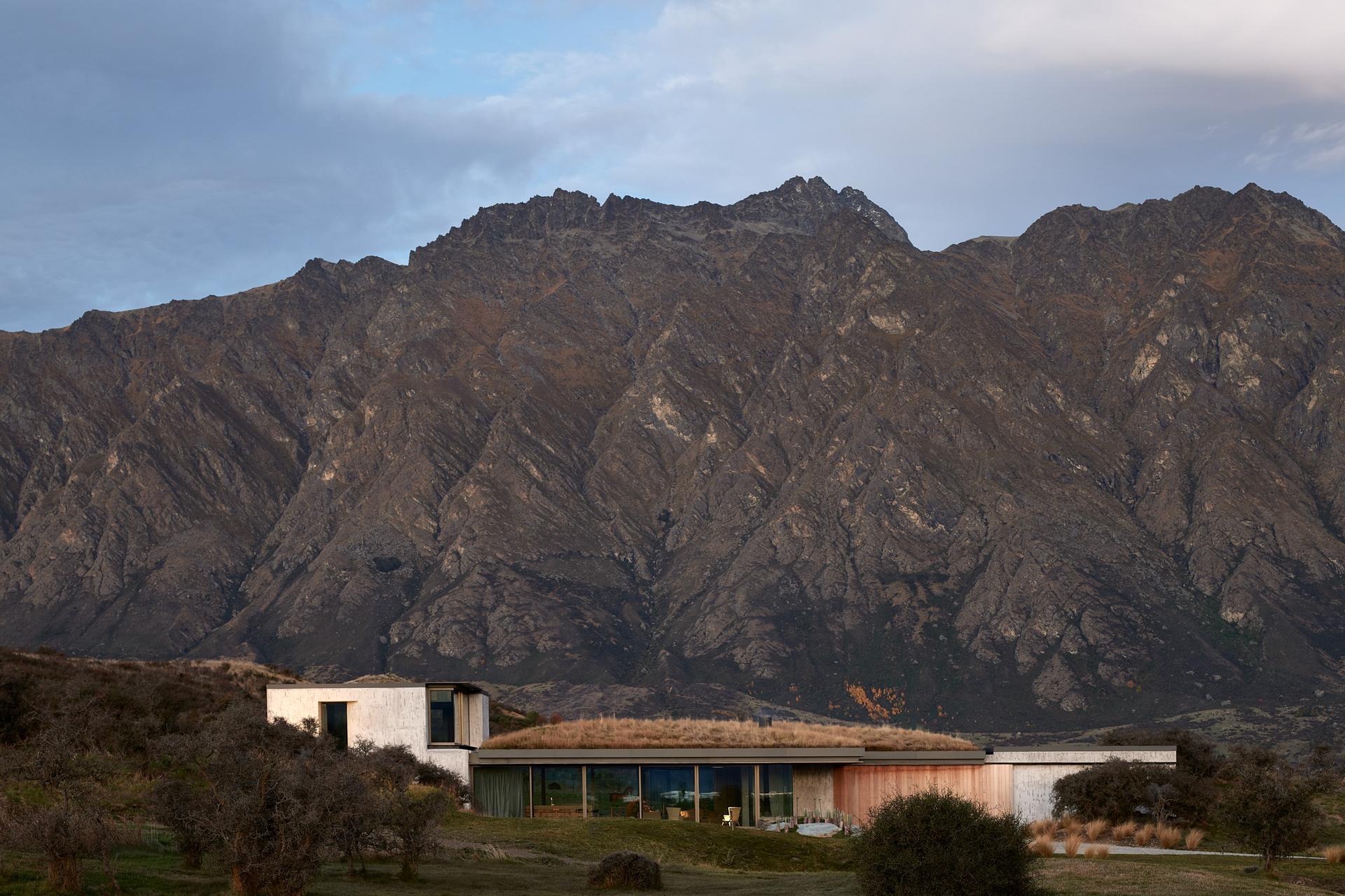 Matagouri - image 9