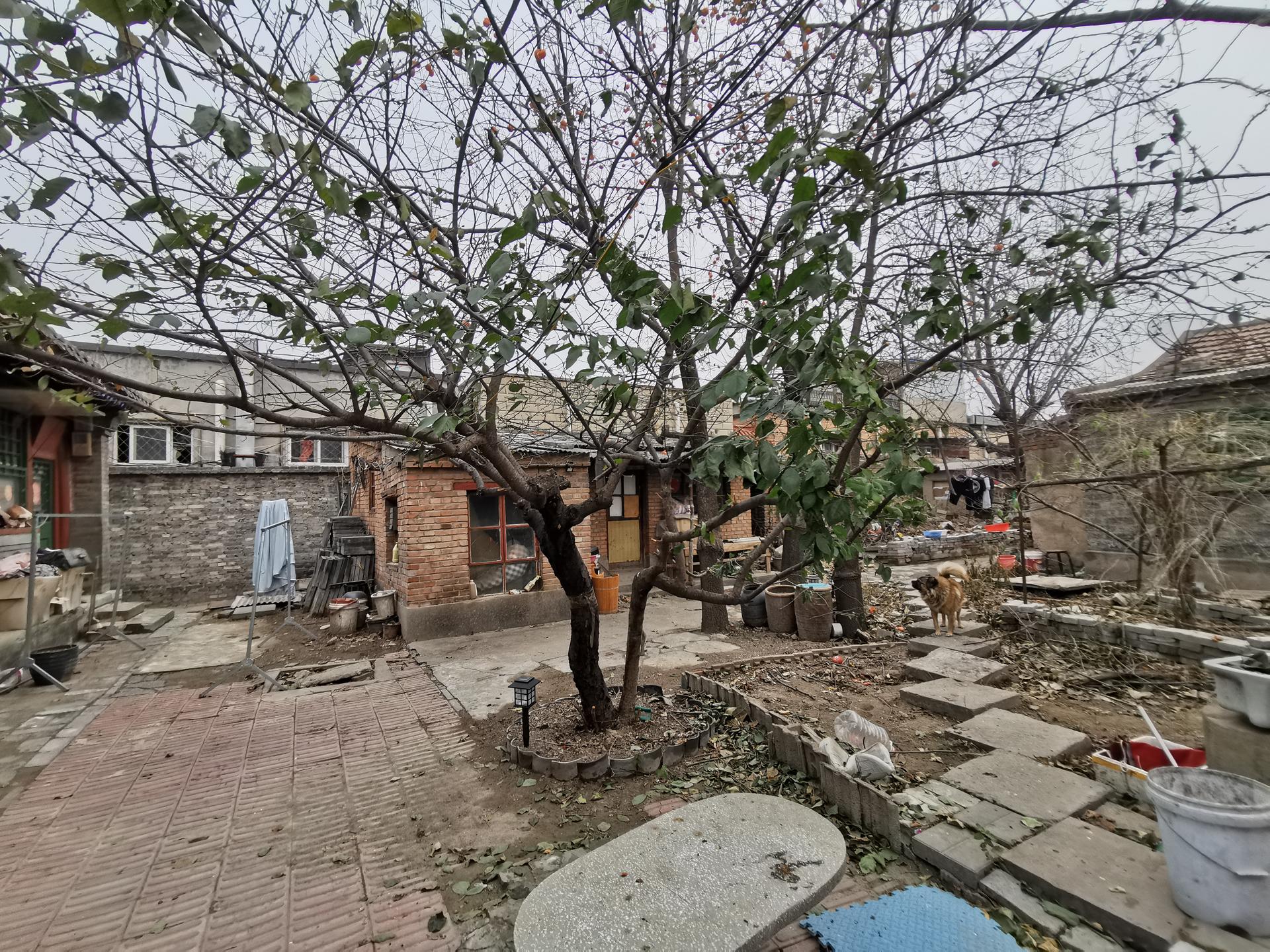 Courtyards Renovation of the Moshikou Neighborhood - image 16