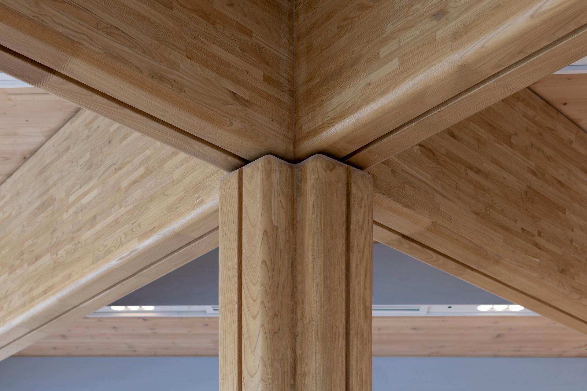 Ombú - image 8