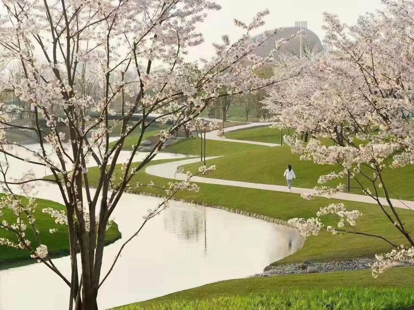 Asian Games 2022 Master Plan and Hybrid Buildings - image 19