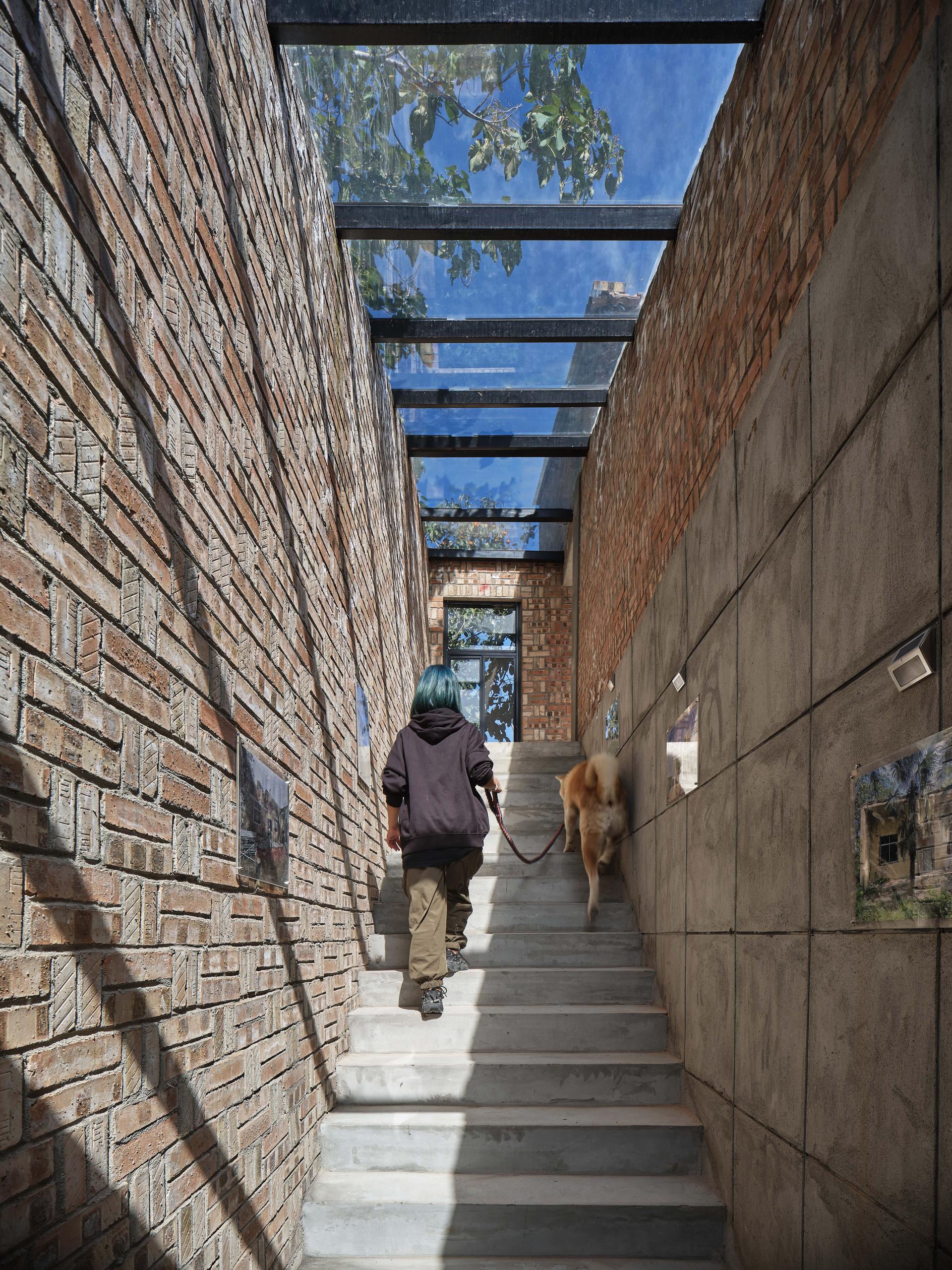 Glass Brick Dwelling in Bayi Village, Weinan - image 12
