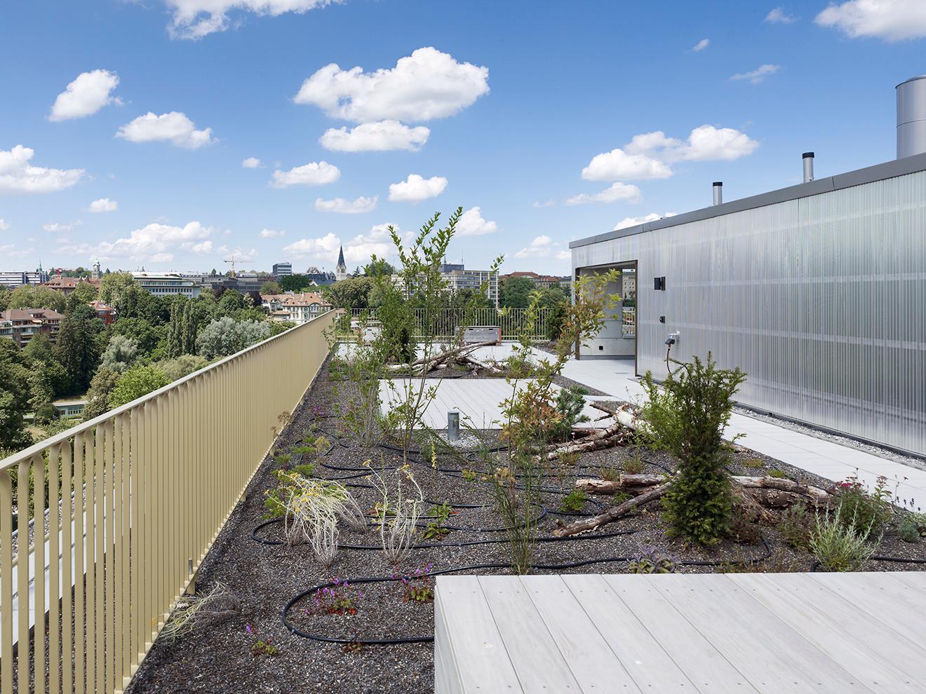 Brückenkopf Bern | Conversion of office building into housing - image 11