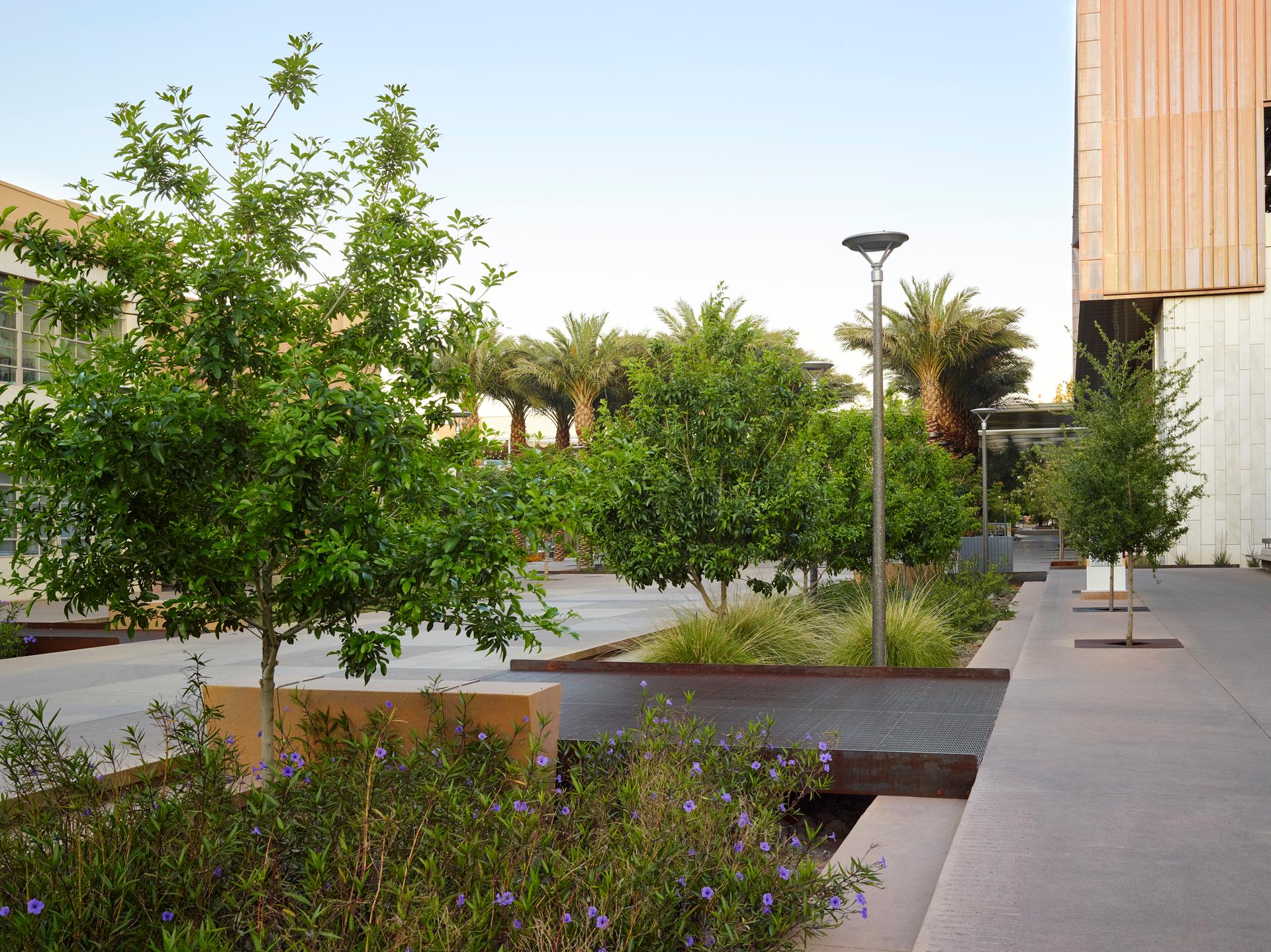 Orange Mall Green Infrastructure at Arizona State University