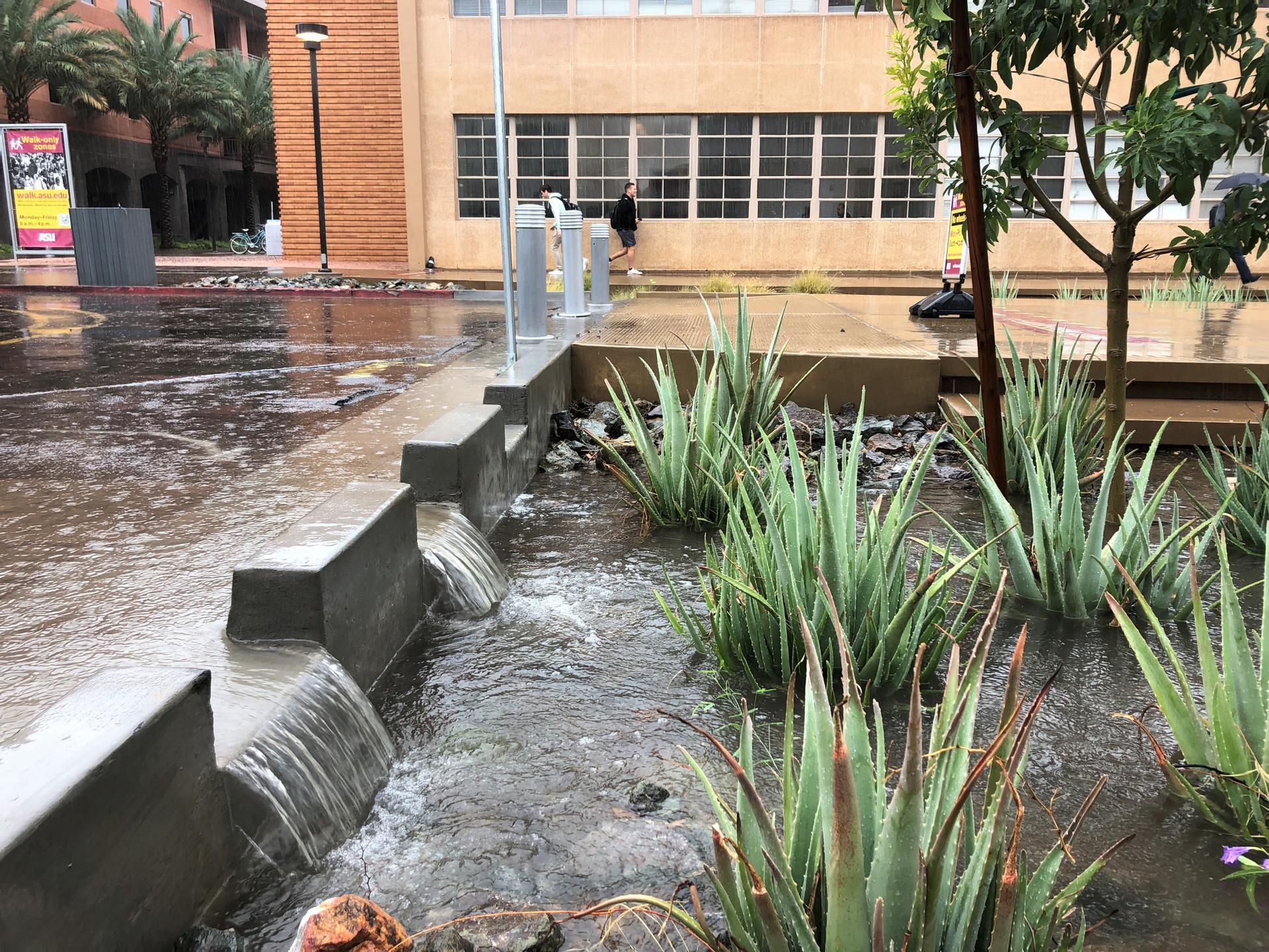 Orange Mall Green Infrastructure at Arizona State University - image 6