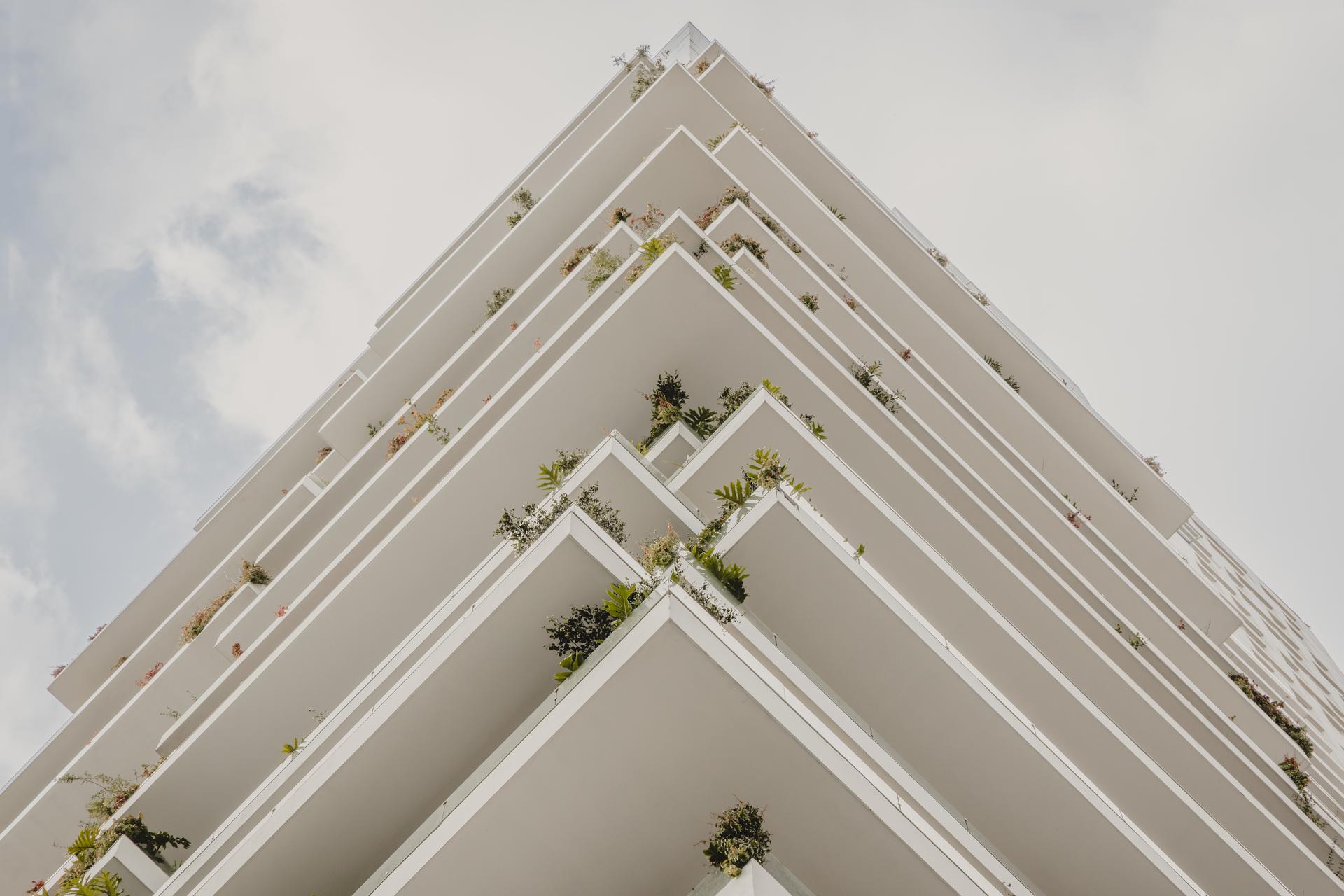 Periférico 2008 - image 6