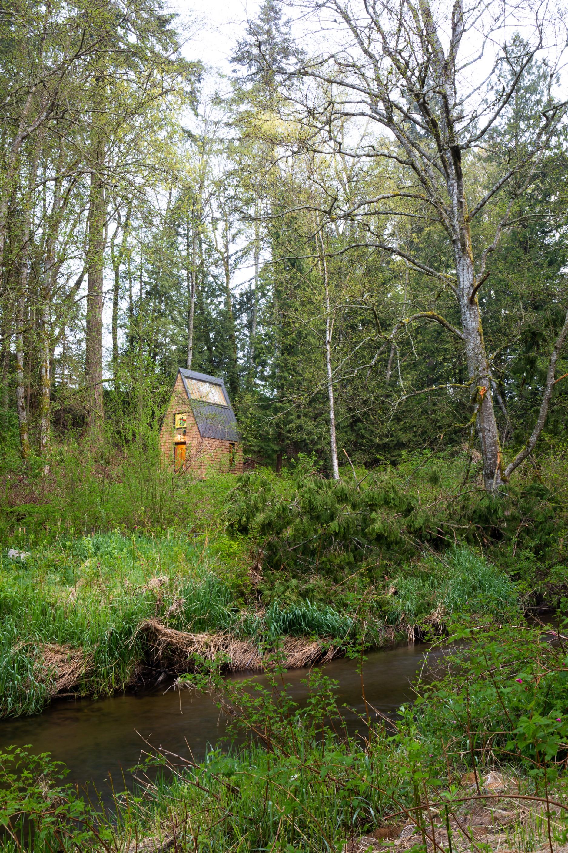Meristem Chapel