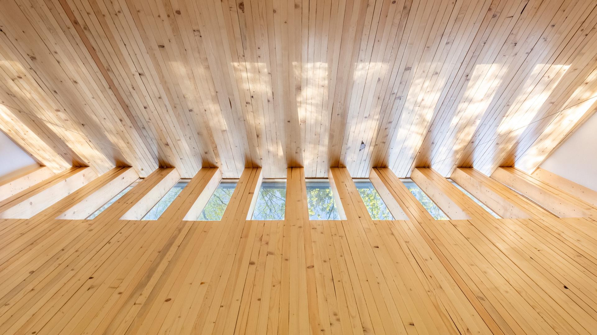 Meristem Chapel - image 4