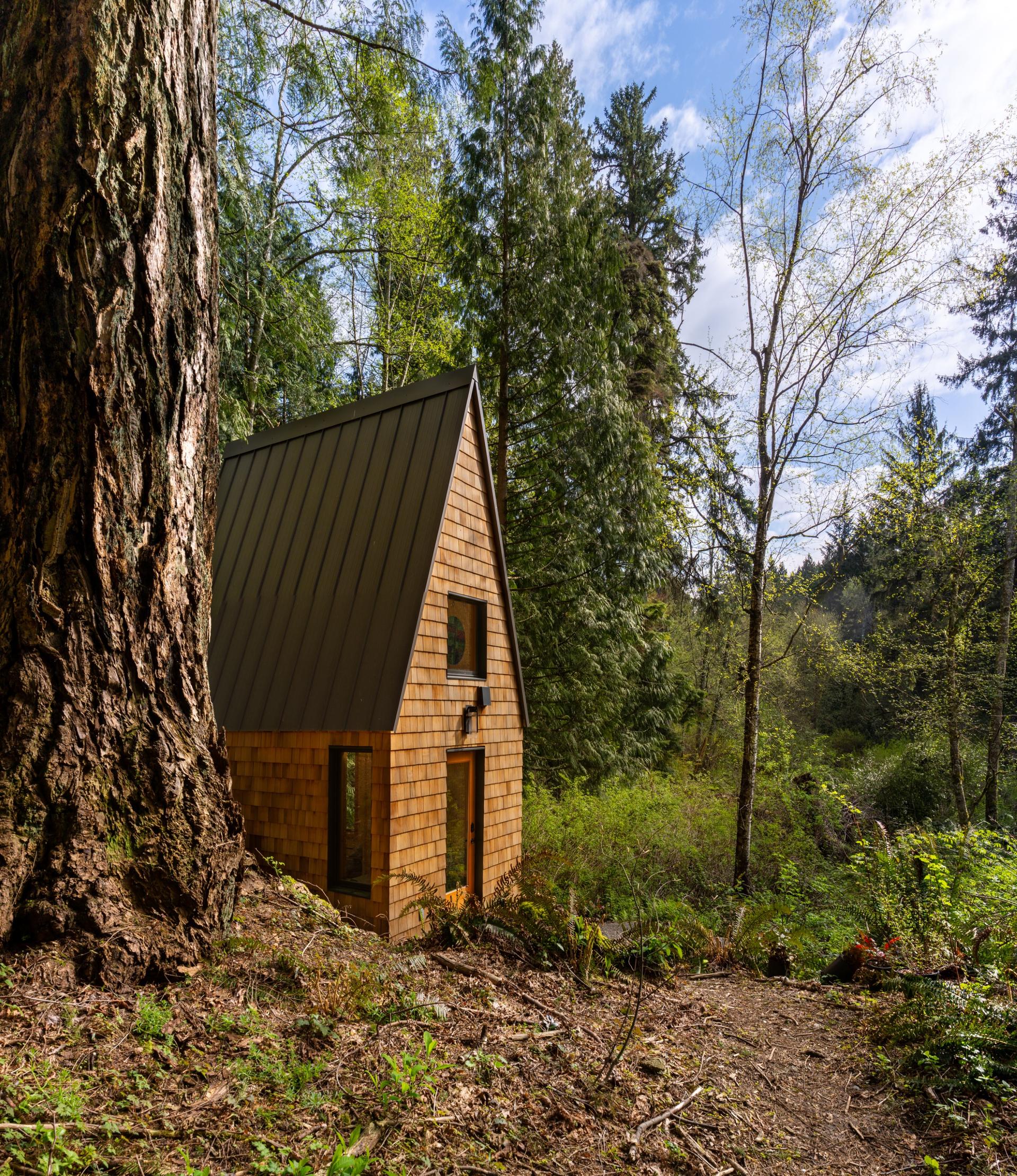 Meristem Chapel - image 8