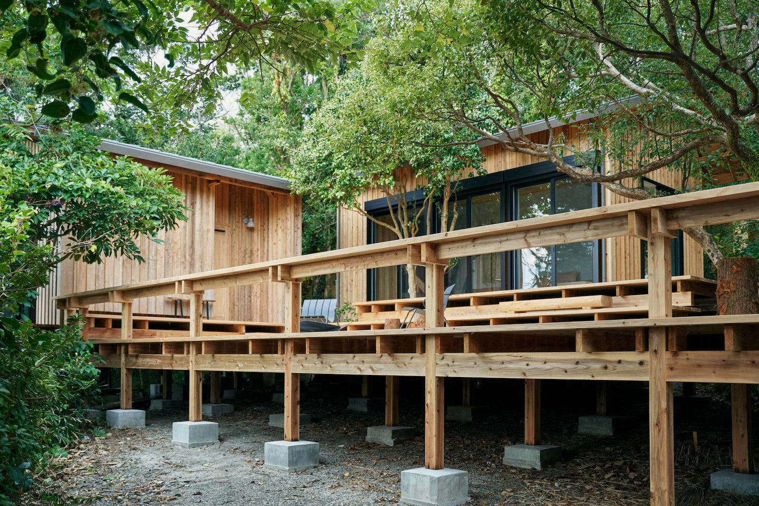 Sumu Yakushima - image 4