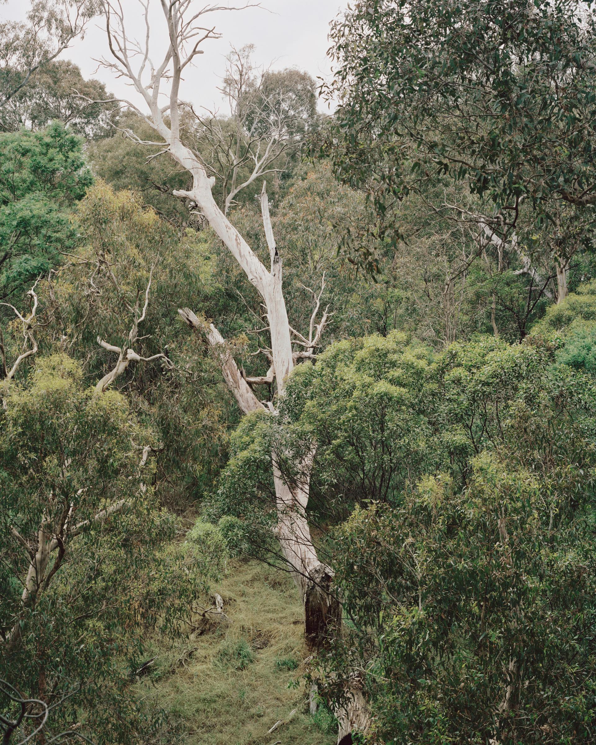 Fenwick - image 22